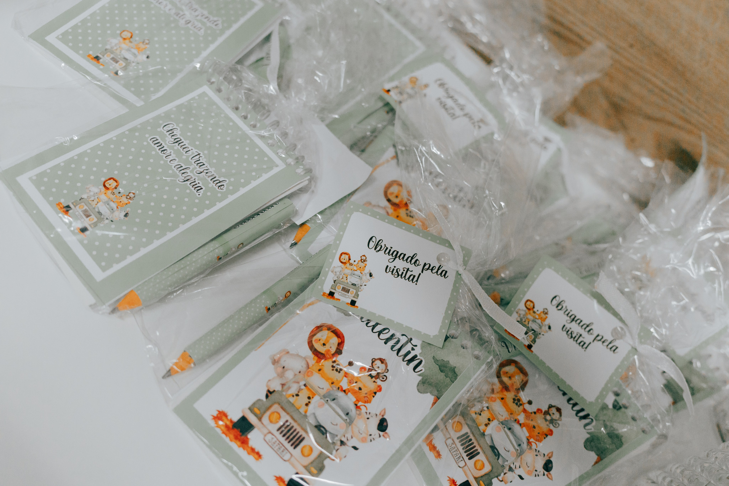 Nascimento de Vicente