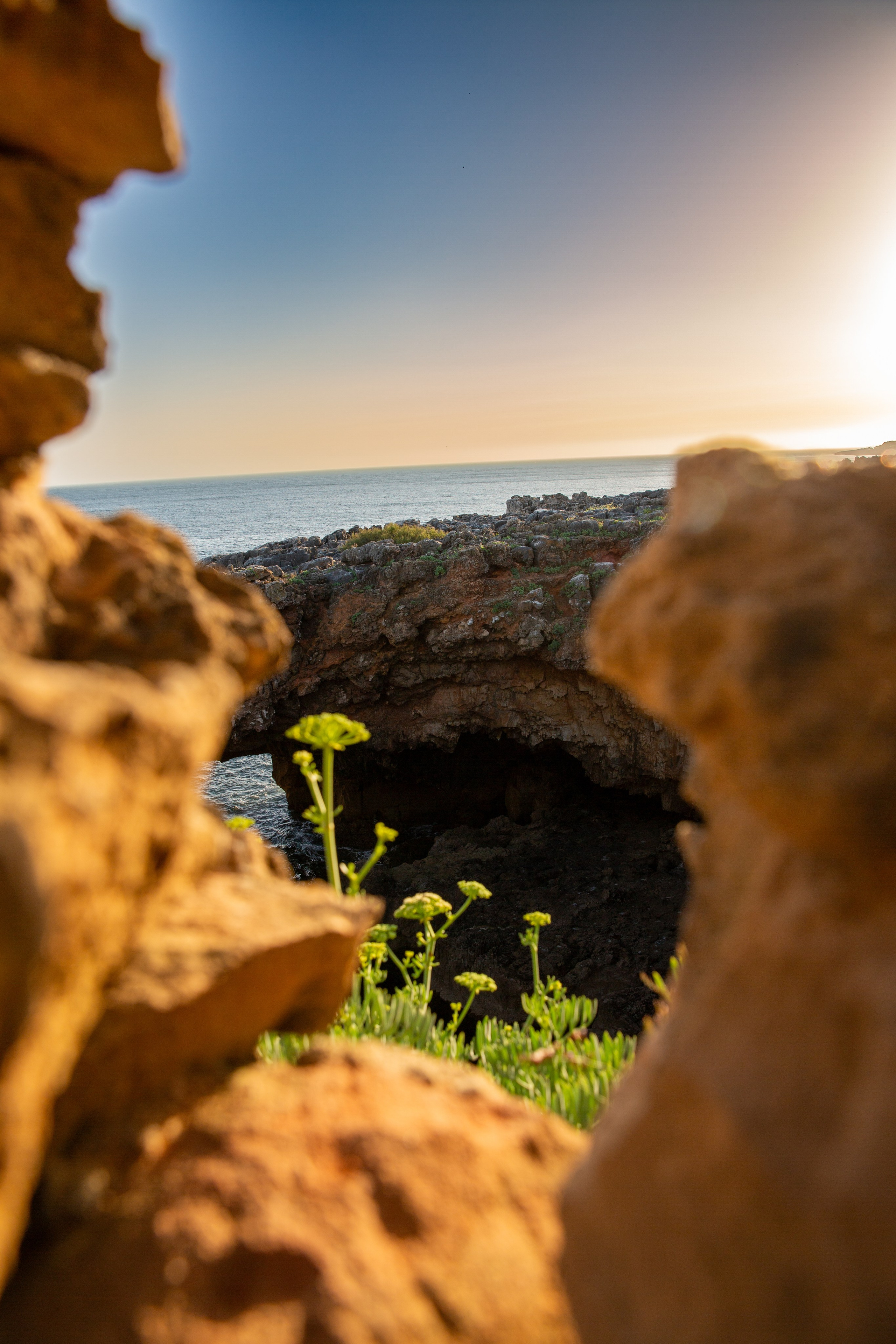 Paisagens. Thiago Chinellato