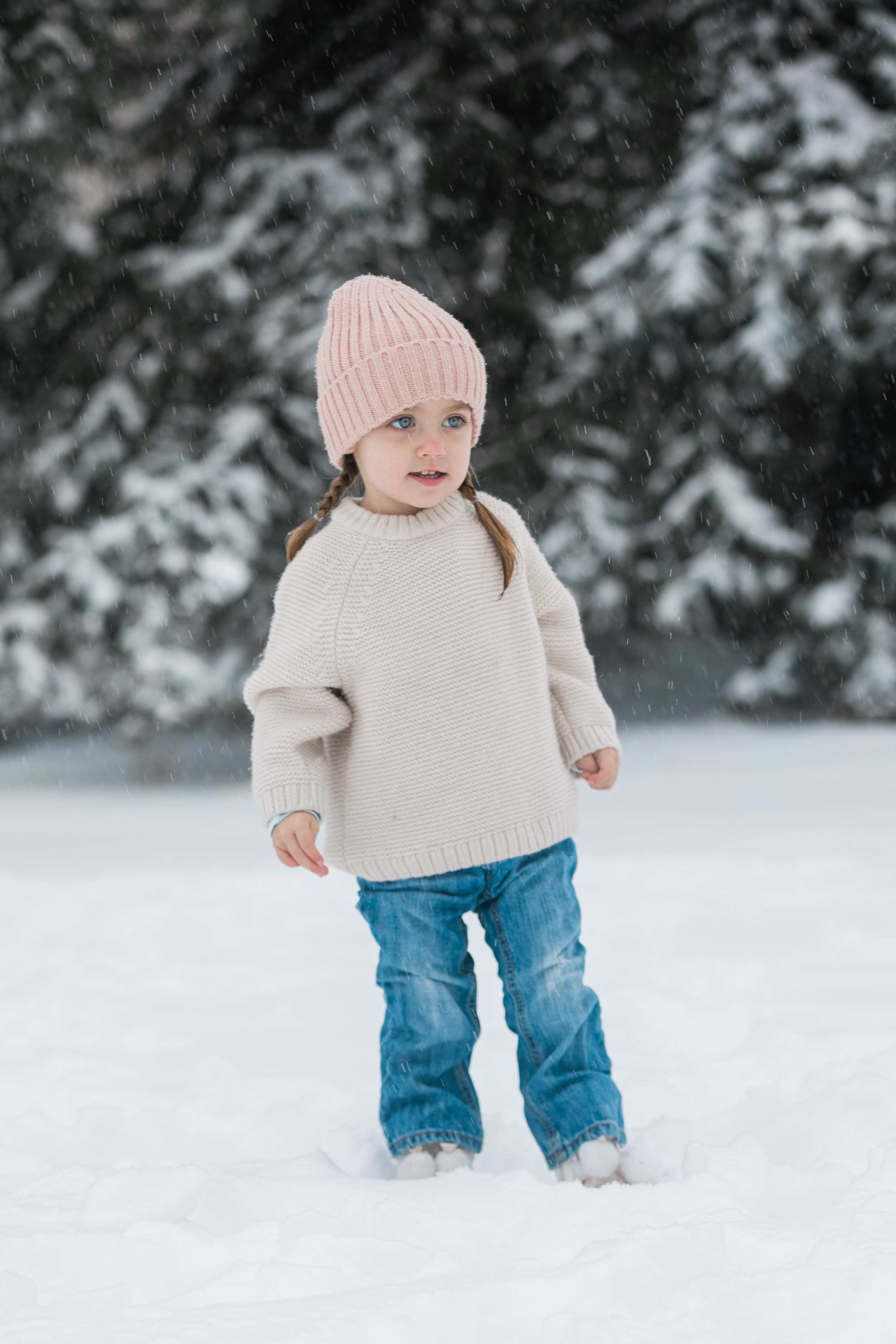 Family Photos — Zacher. Ching Li Photography