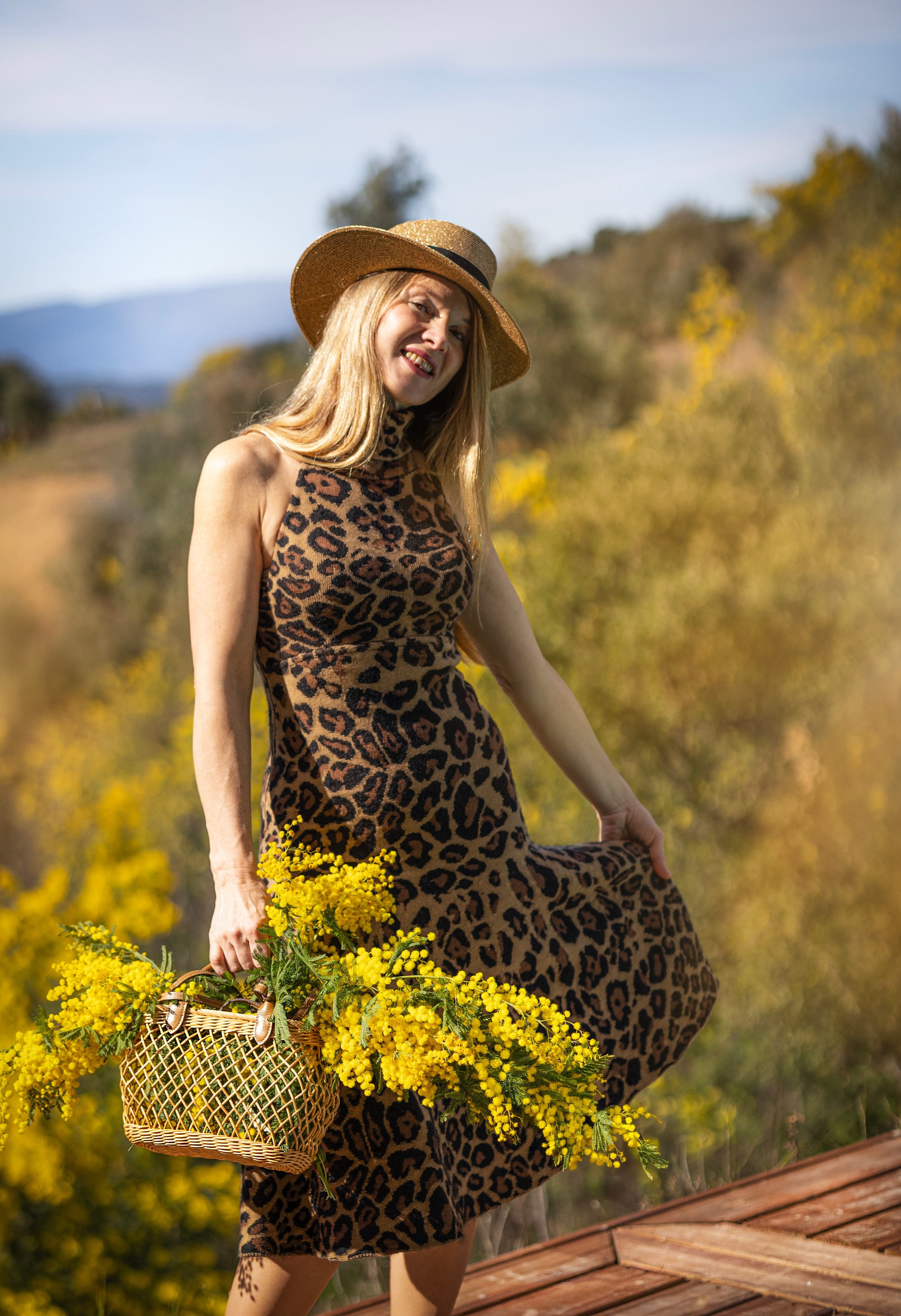 Mimosa. Photographer in Munich