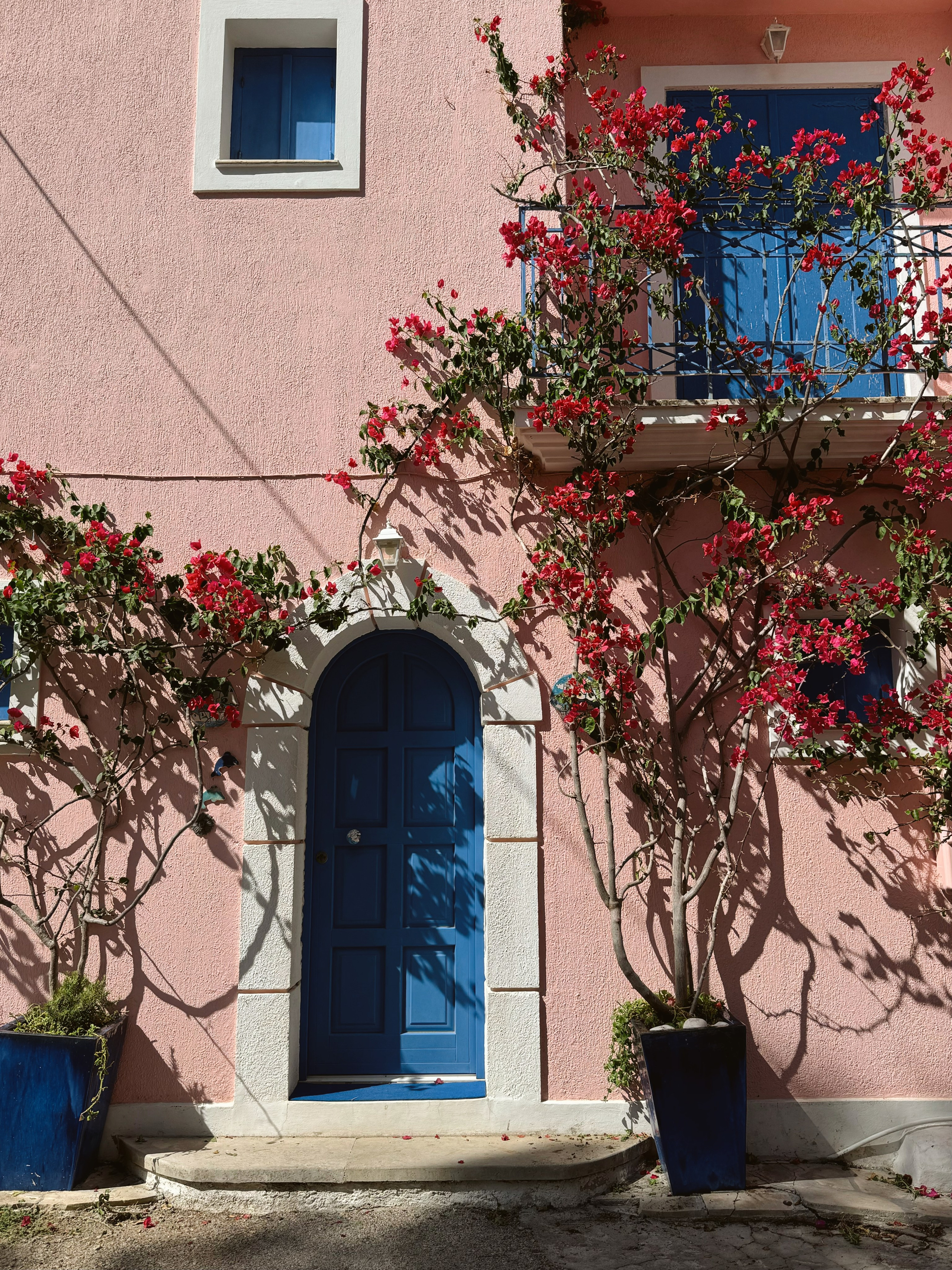 Моими глазами. Salut!