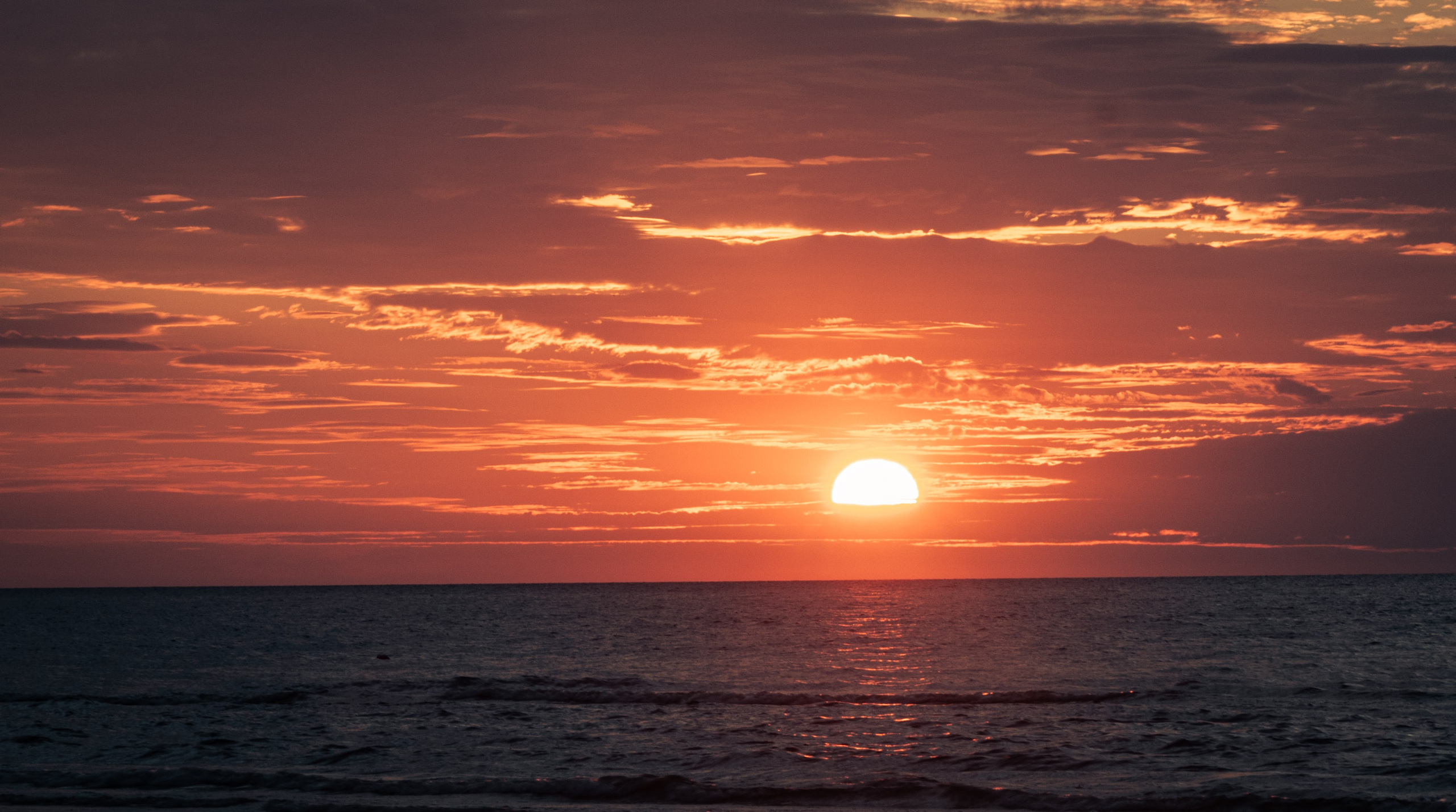 Landscape. Portrait and Street photographer in Vilnius Edgar Shaipunas