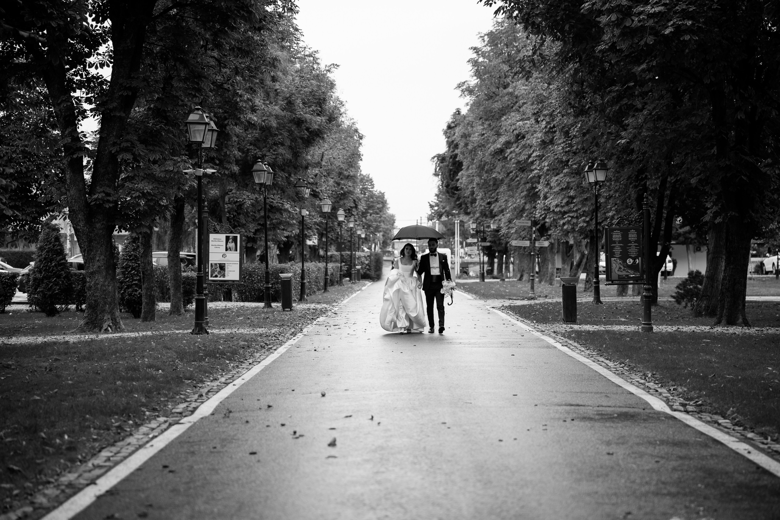 Stefania & Alex. Blink Photo — Fotografie & Videografie Nuntă