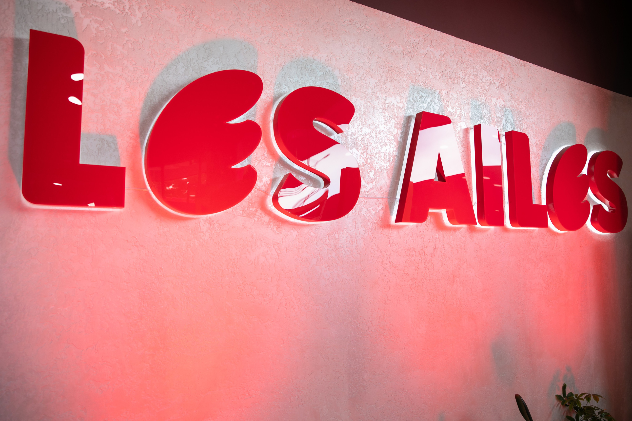 Открытие: LES AILES & CHOPAR. Профессиональная Фото-Видео Студия Геннадия Нестеренко | Ташкент и Весь Узбекистан