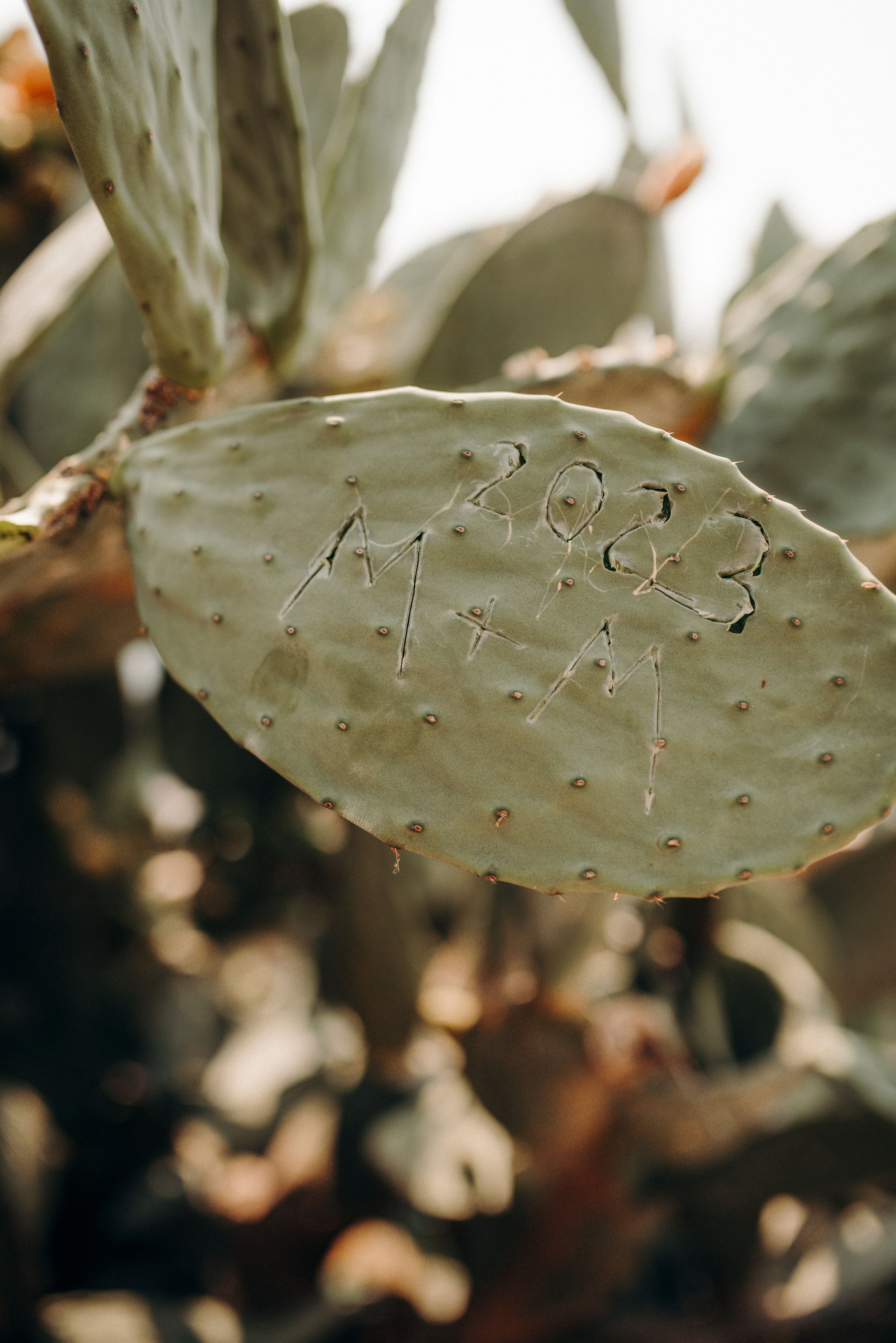 Max i Masha. Positano. Home page