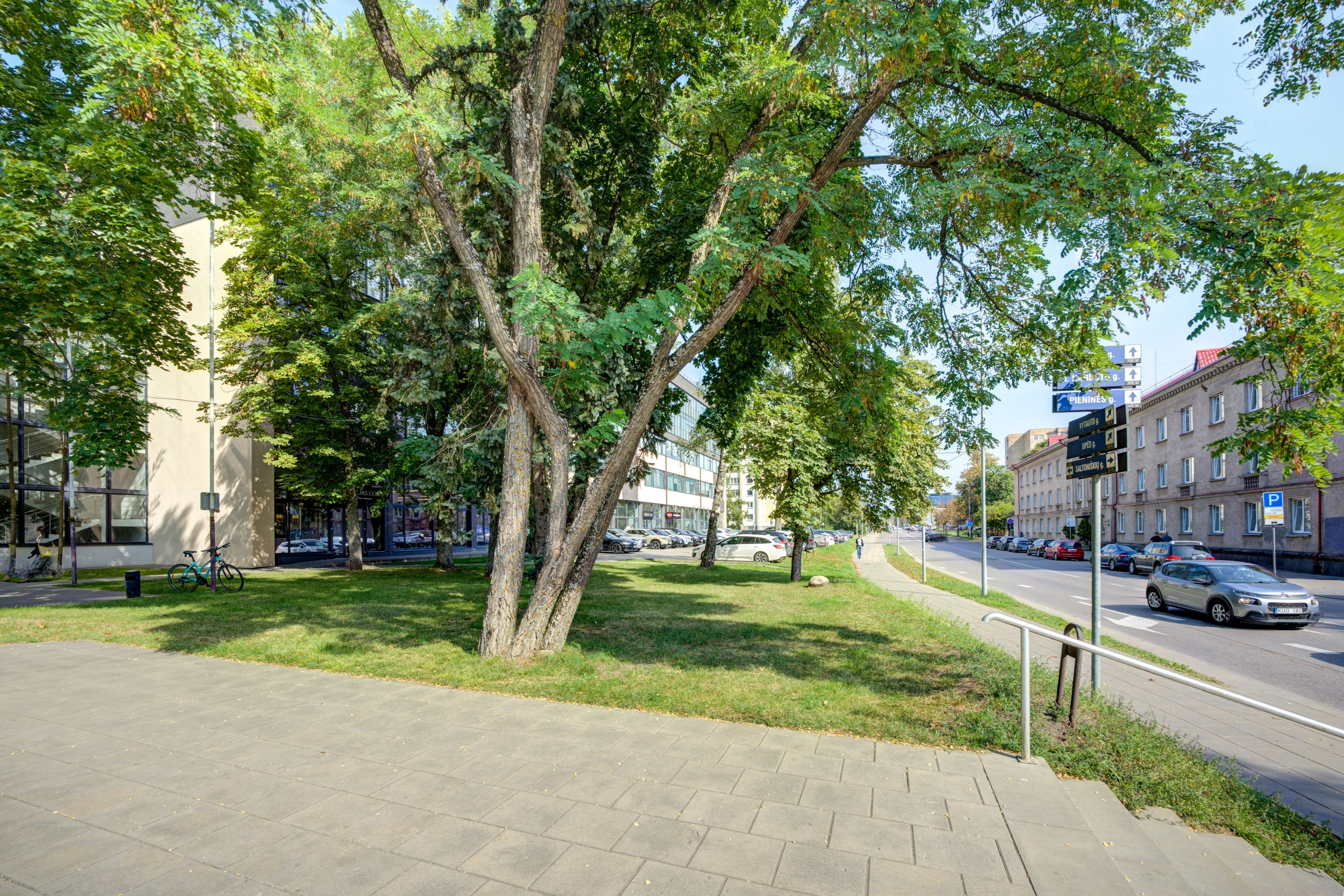 Saltoniškių g. 31. Elina Sapiega fotografė Vilniuje