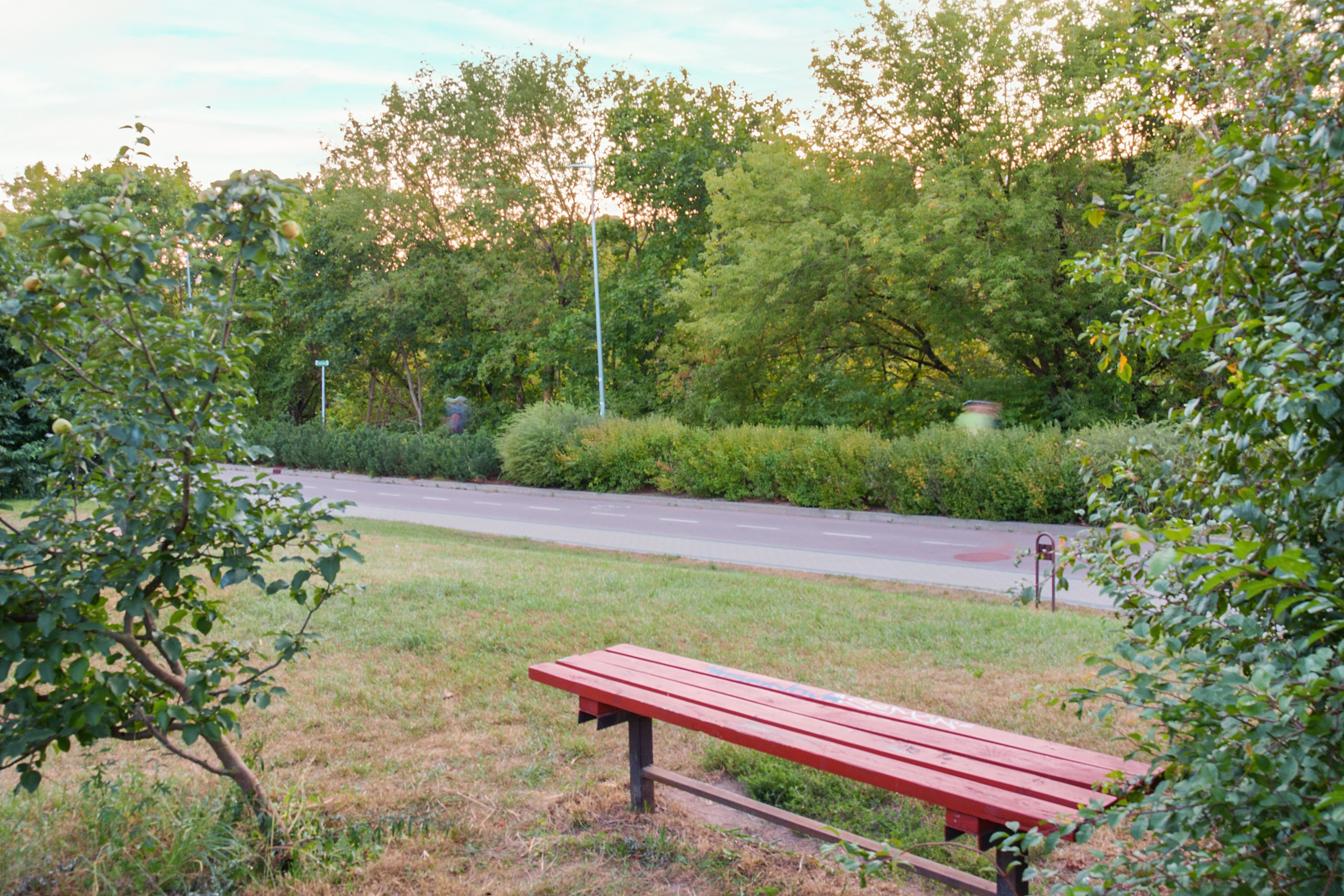 Vileišio g. 24. Elina Sapiega fotografė Vilniuje