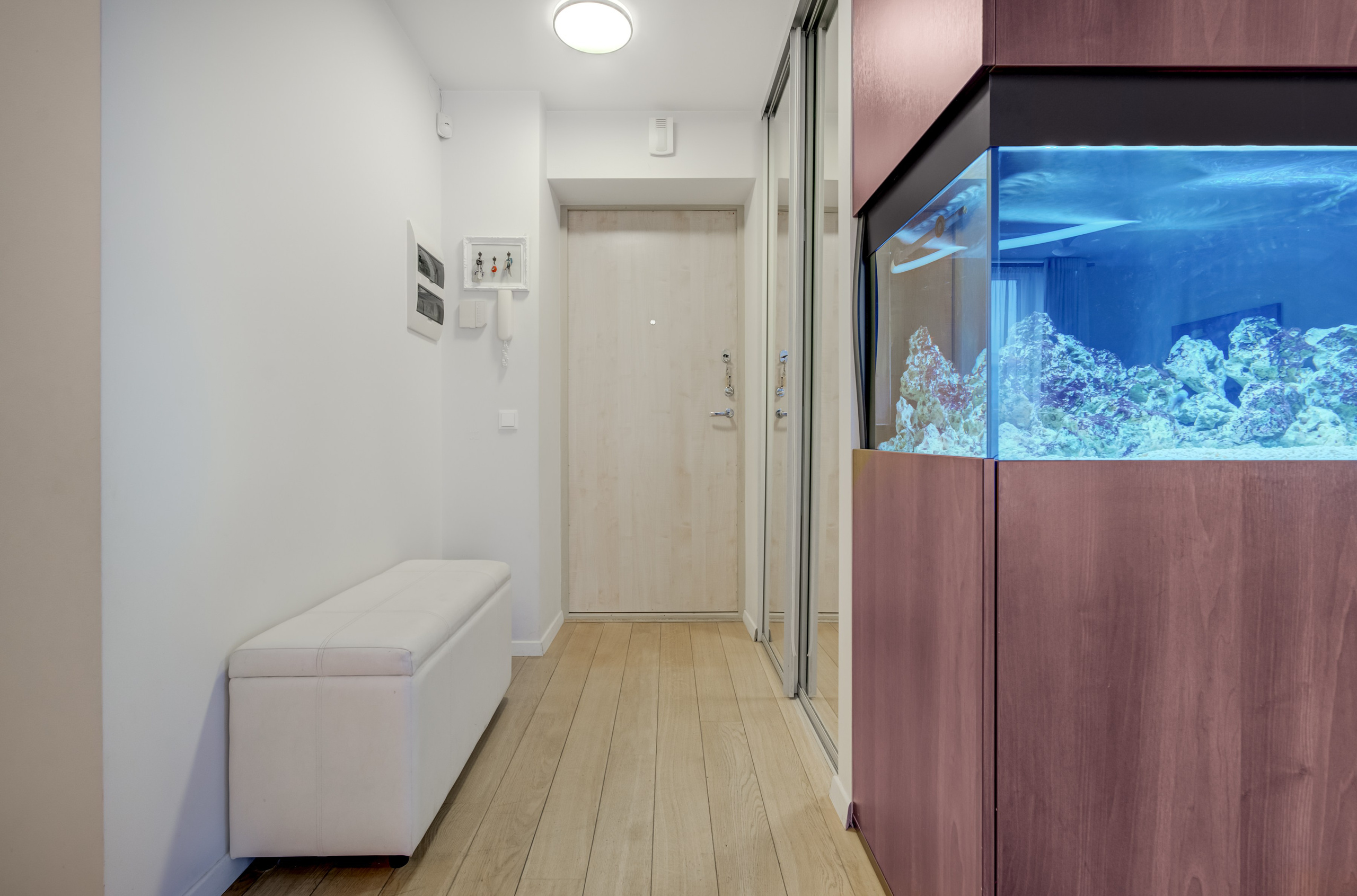 Bajorų kelias 17, 3k butas. Elina Sapiega fotografė Vilniuje