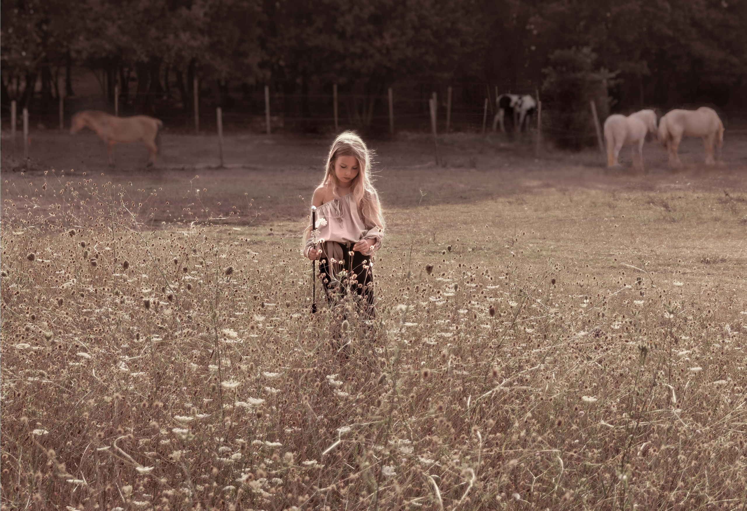 Photographe Mariage& Famille, Provence-France–Paris, Valentina Acrement