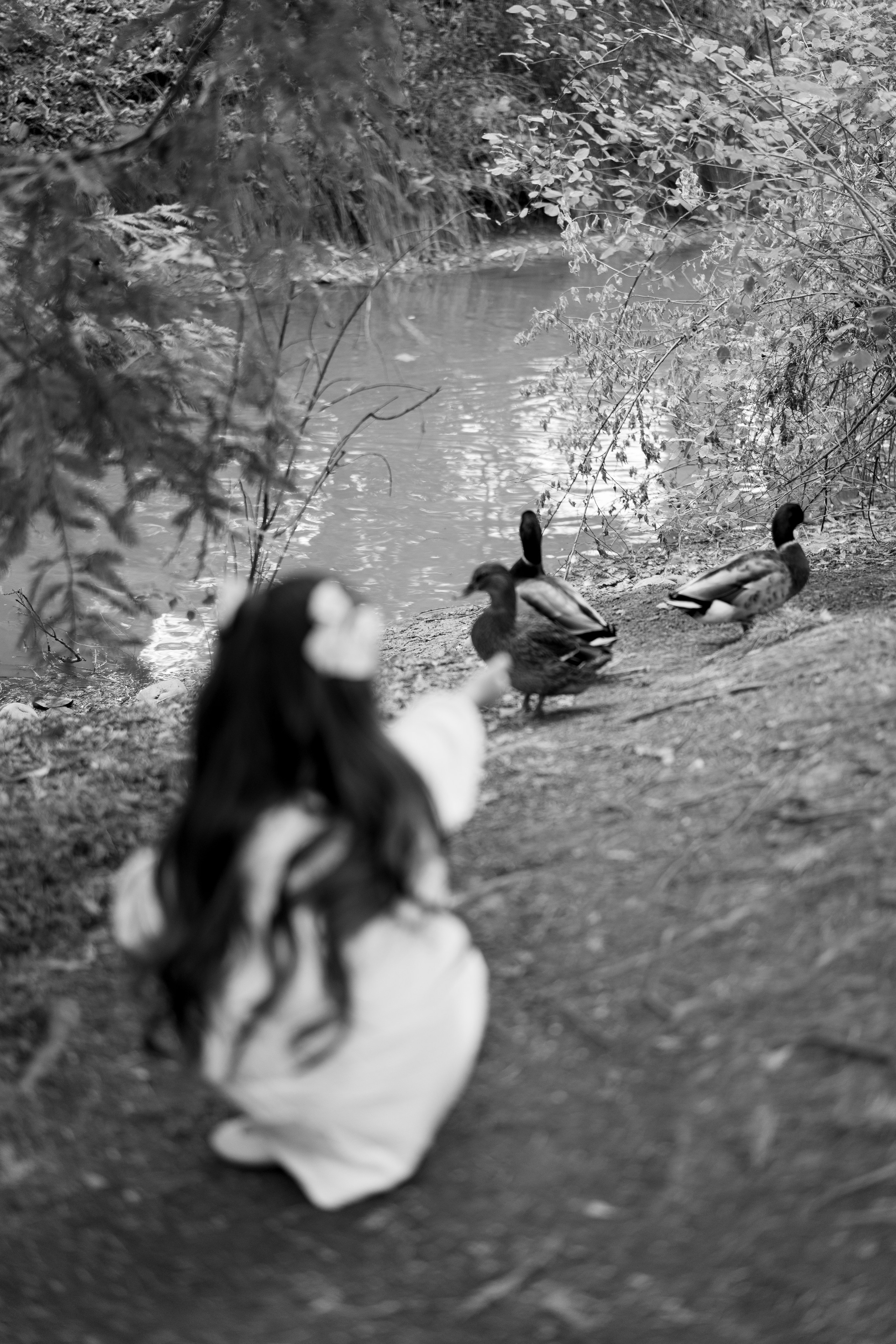 Mikhailov family. Family photographer in Sacramento | Sofia Pavenko