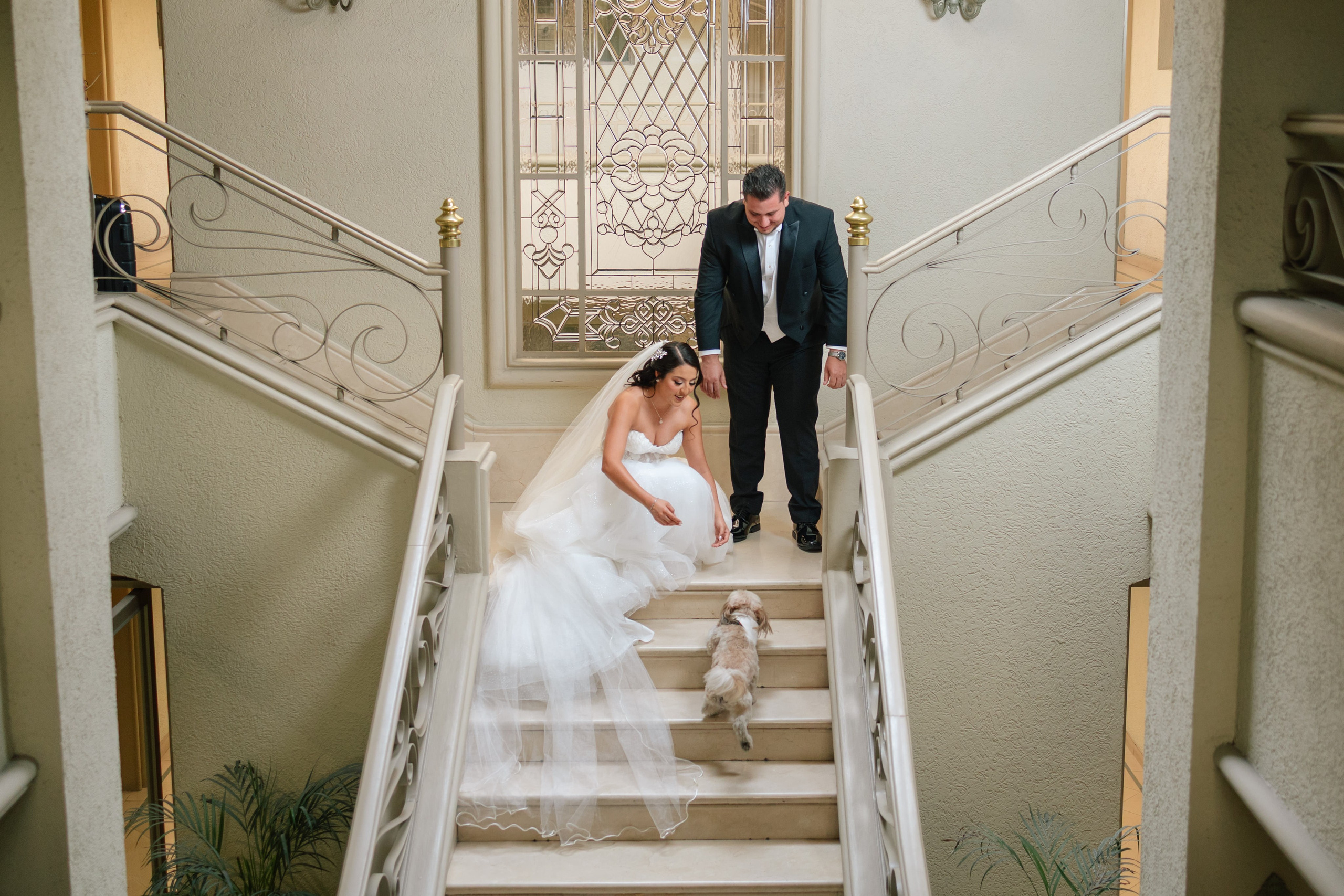 Fer y Pato. Wedding Photographer Ruth Preciado