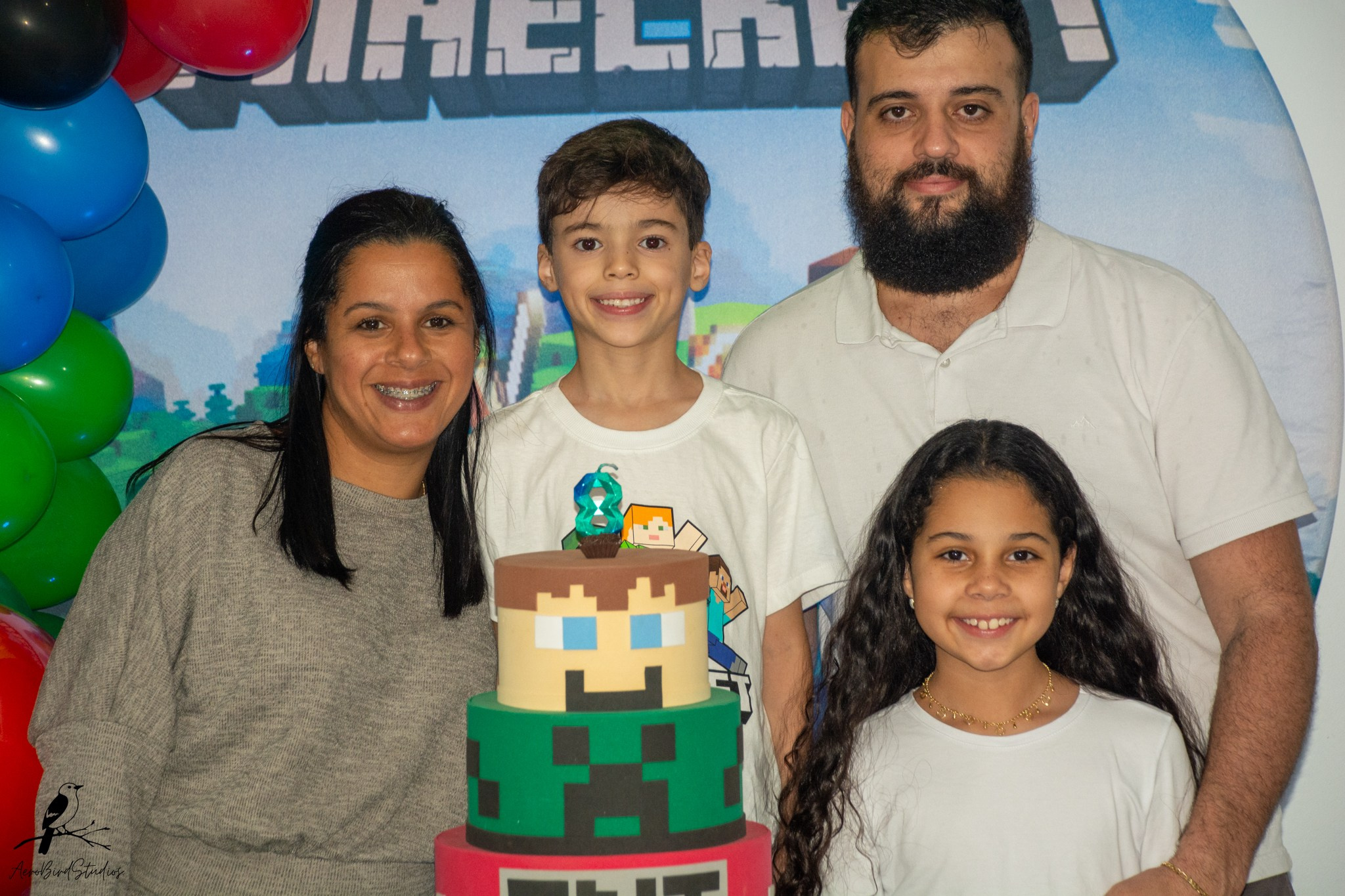 Leonardo 8 ano. AerobirdStudios