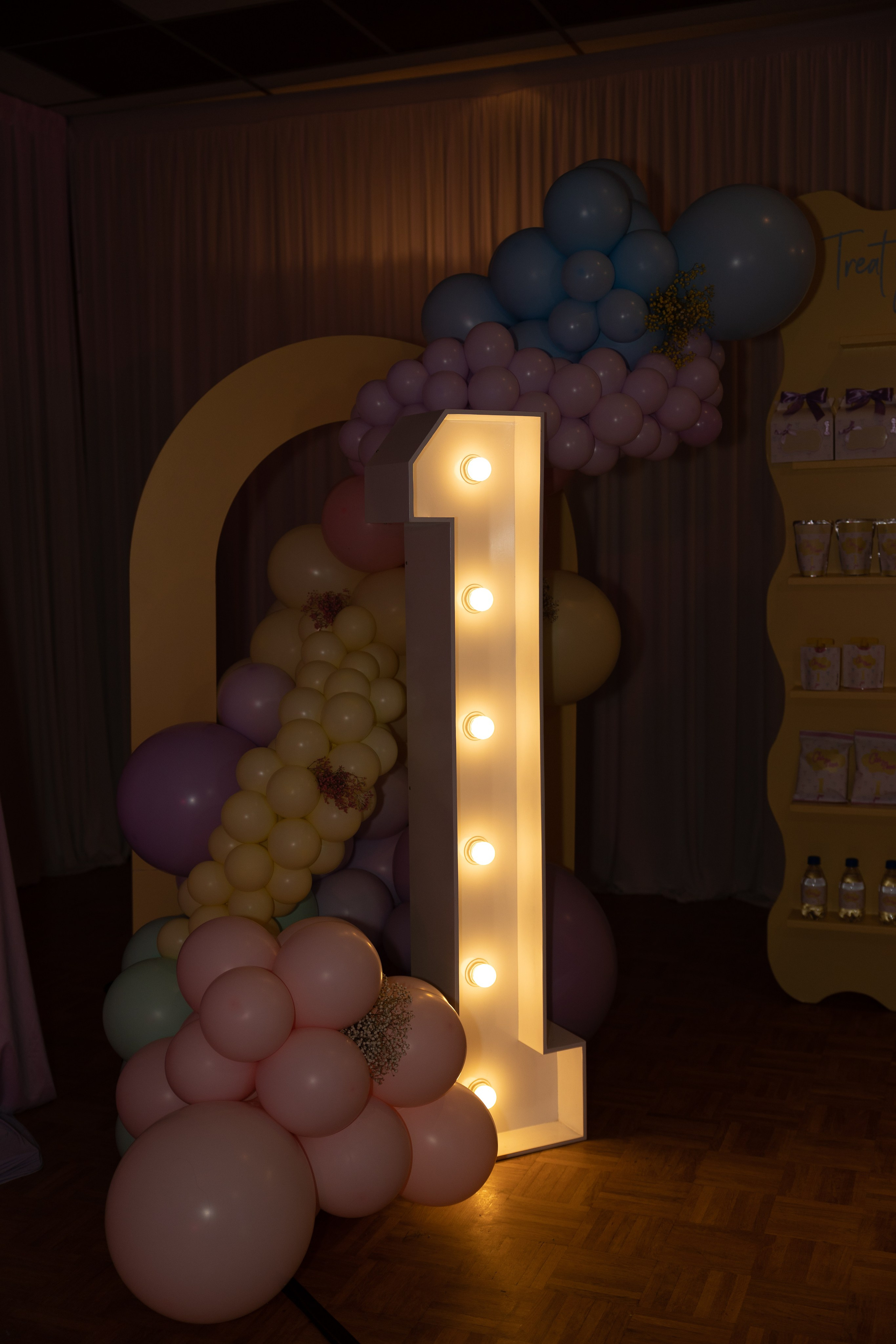 1 st Birthday. Portrait and Family Photographer in Netherlands