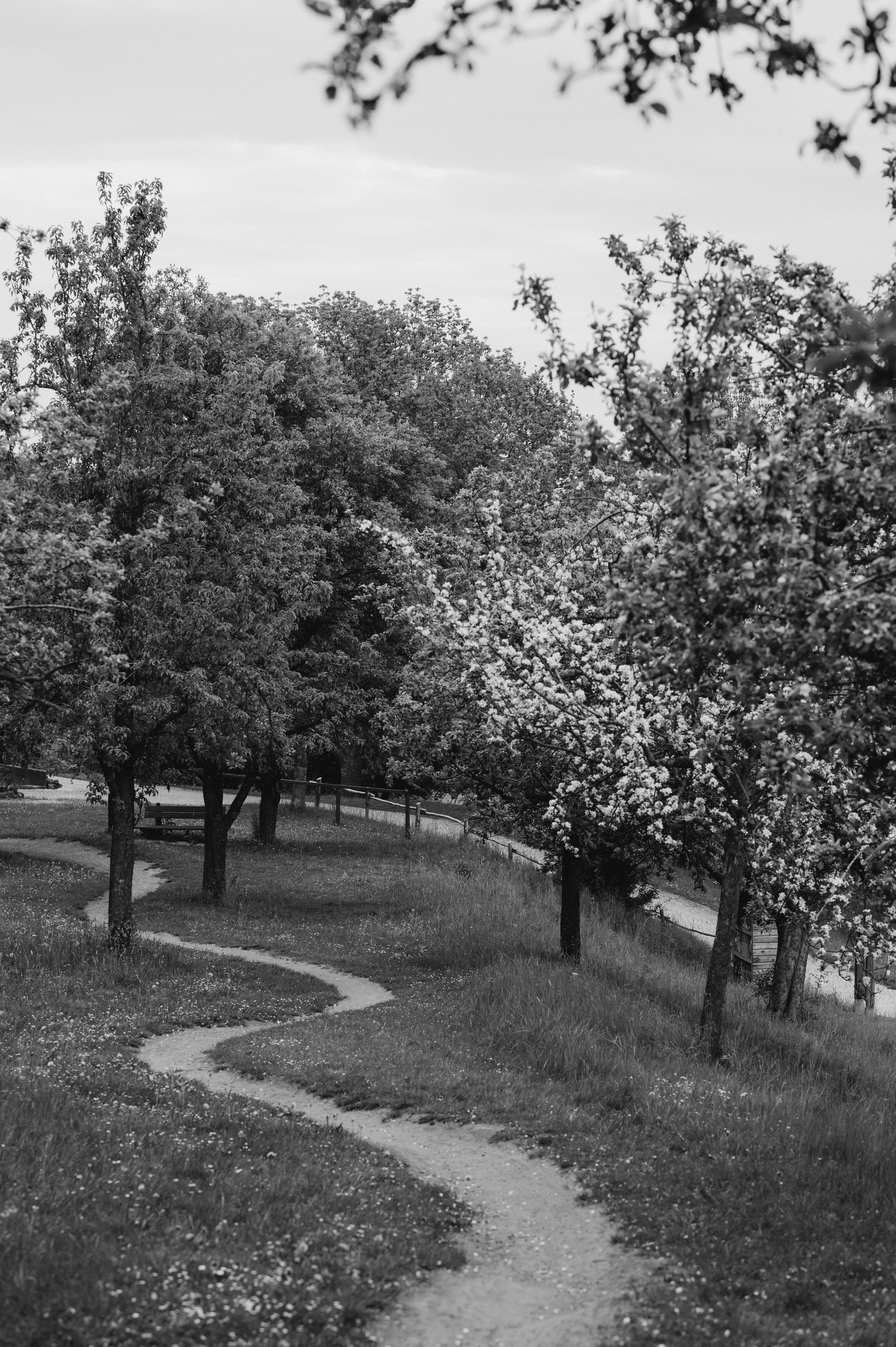 REGENHOCHZEIT IN HERRIEDEN. Фотограф в Нюрнберге Ирина Менерт из Ансбаха