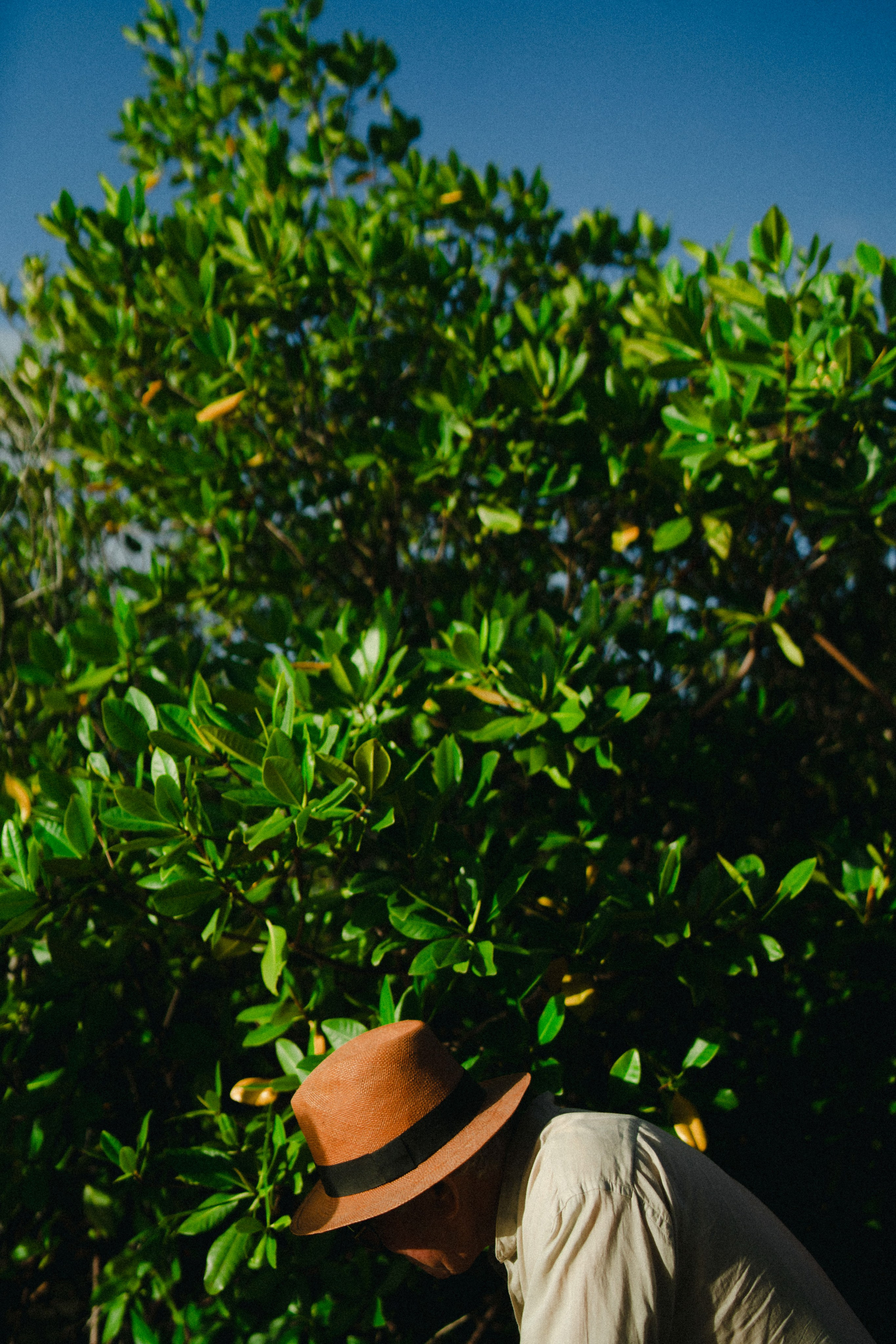 Jason e Collen | Tabatinga-RN. Fotógrafo de casamentos e gestantes