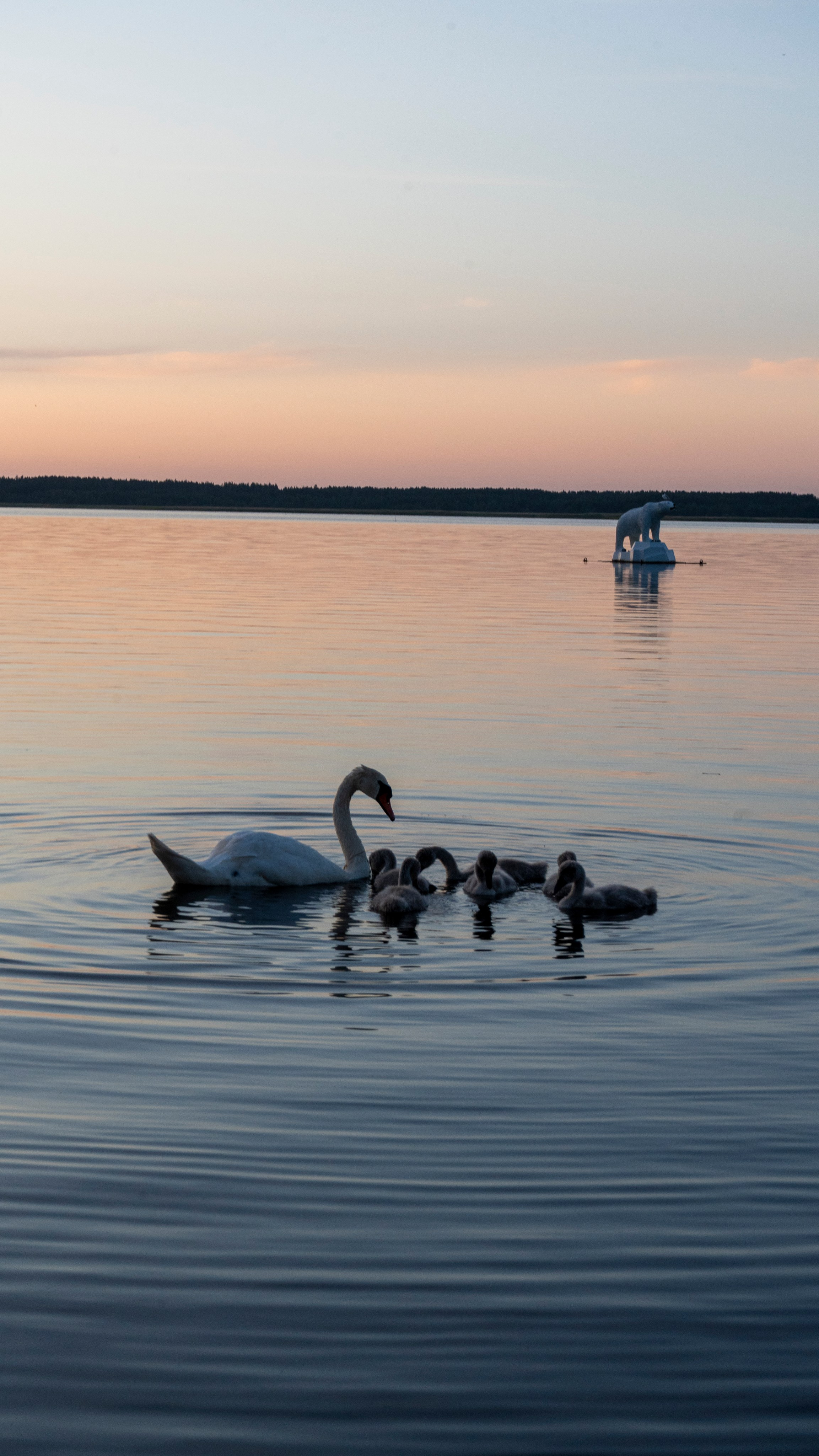 Whispers of Estonia. Photography | Videography | Marketing