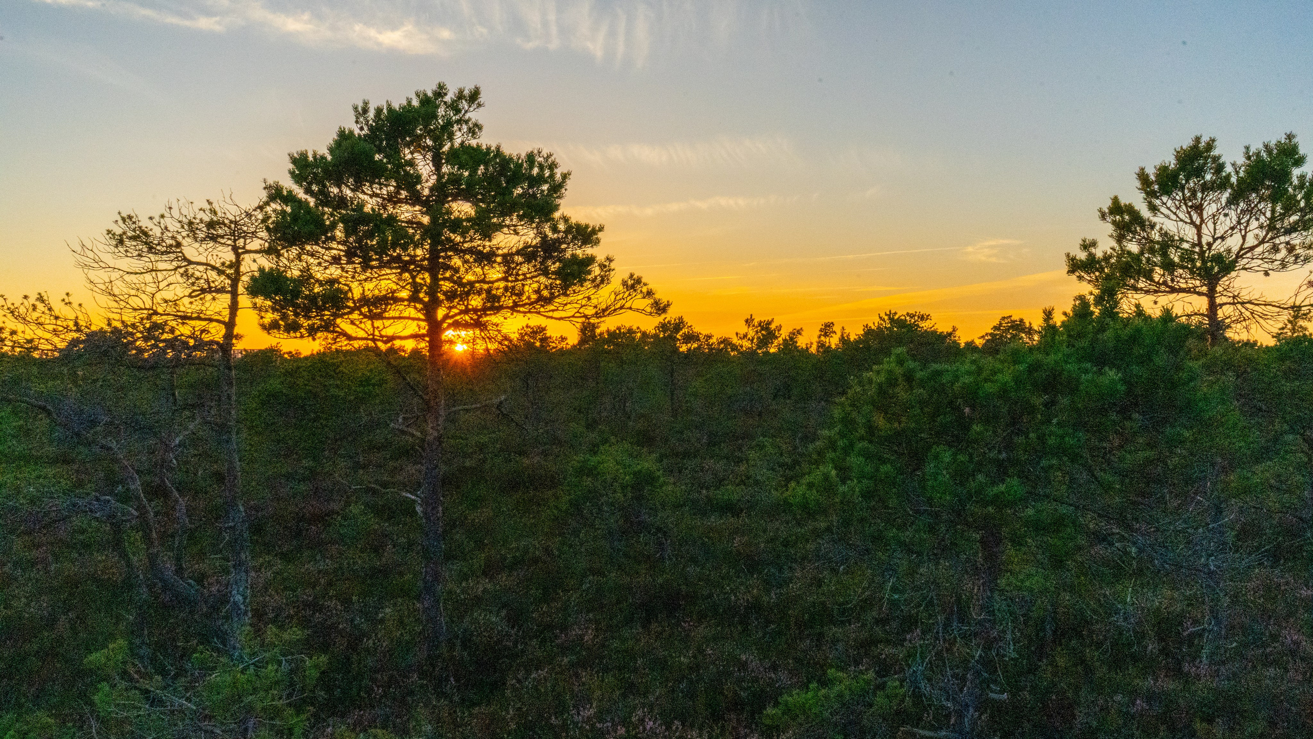 Whispers of Estonia. Photography | Videography | Marketing