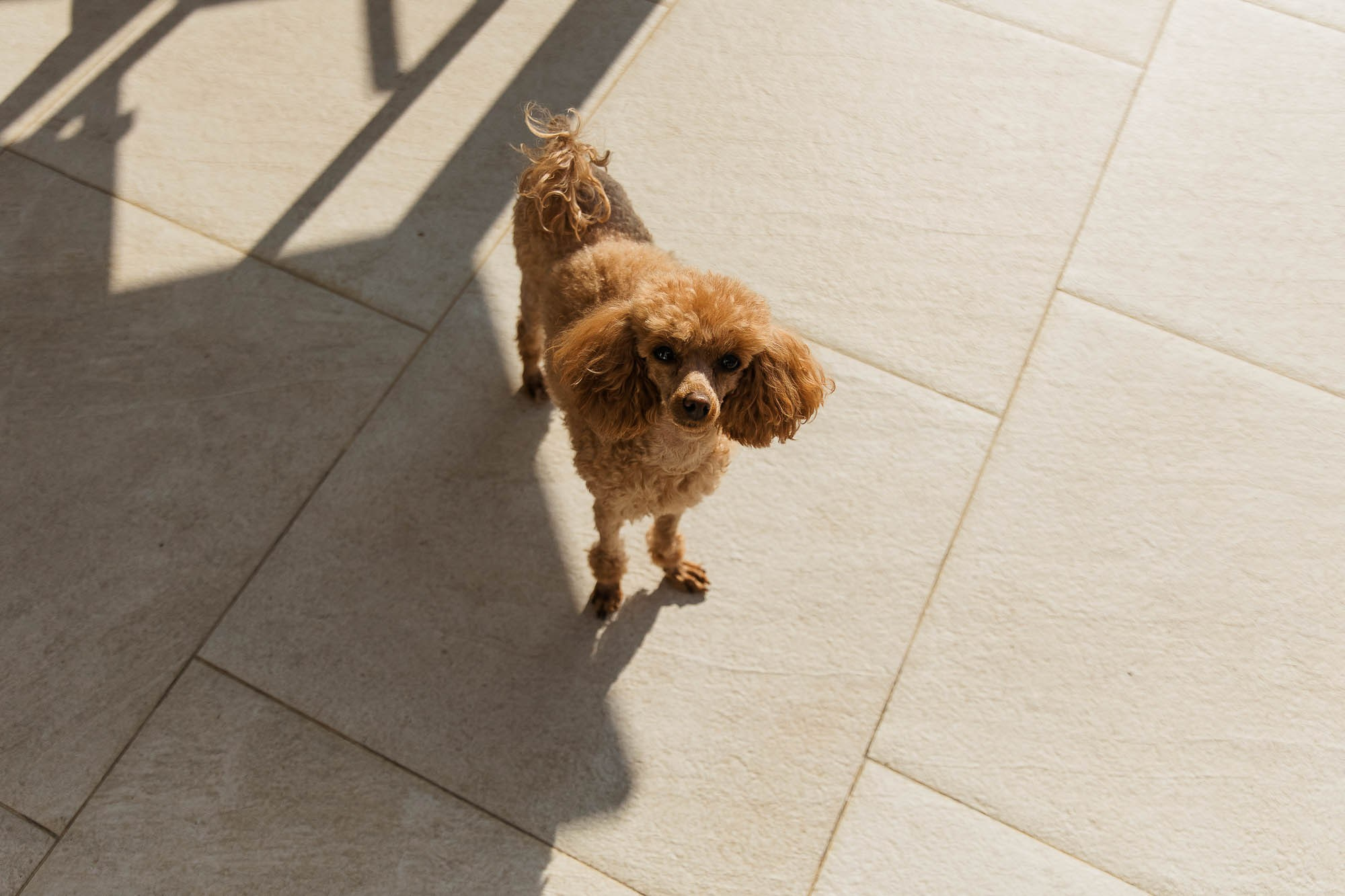 Elizabeth. Tanya Bogdan | Cornwall | Devon | UK Wedding Photographer