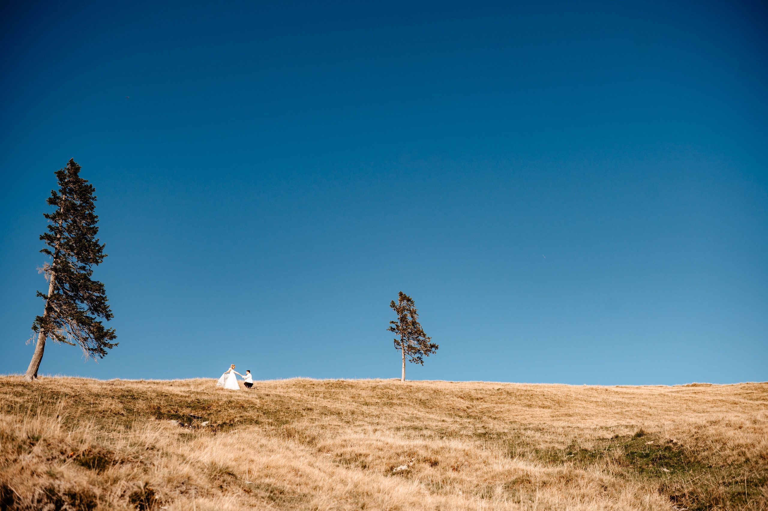 Ana & Cătălin. Ionut Birceanu