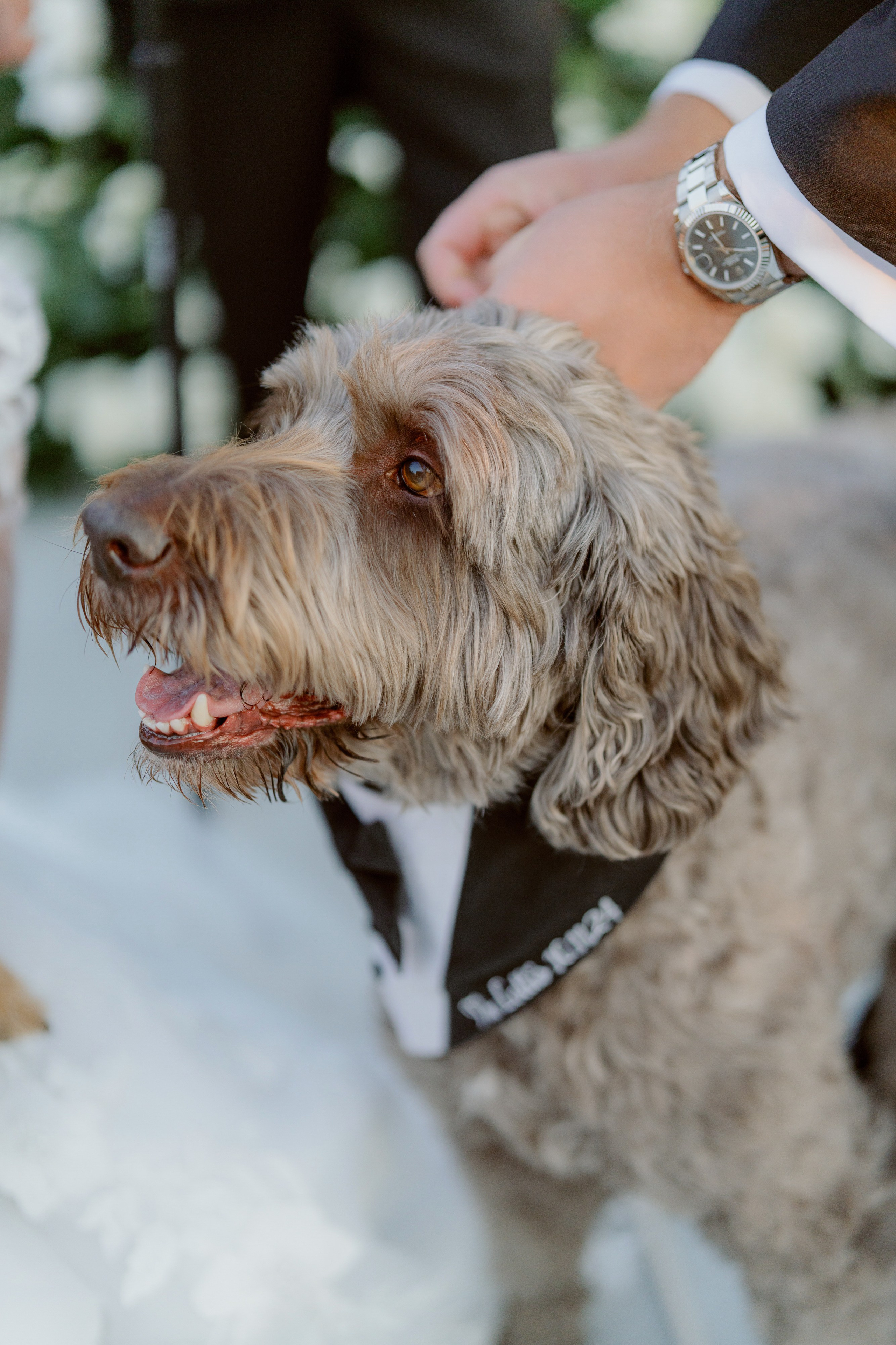 Jenna and Steven. Wedding photographer and videographer New York | New Jersey