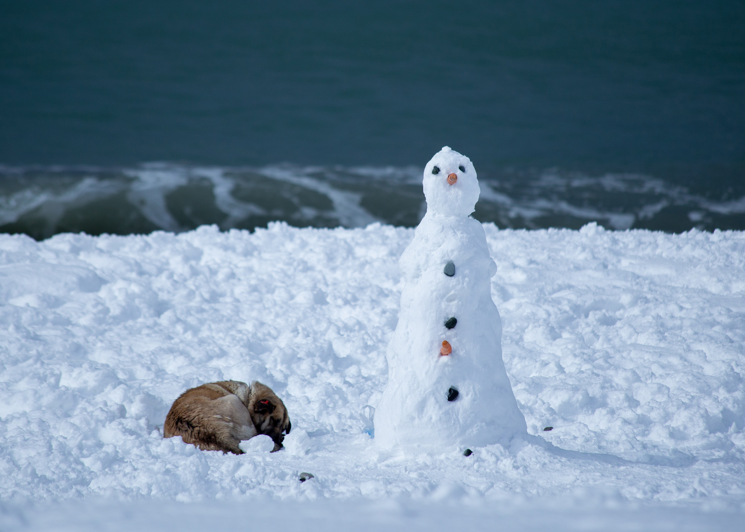 Urban. PHOTOSTORYNIKA