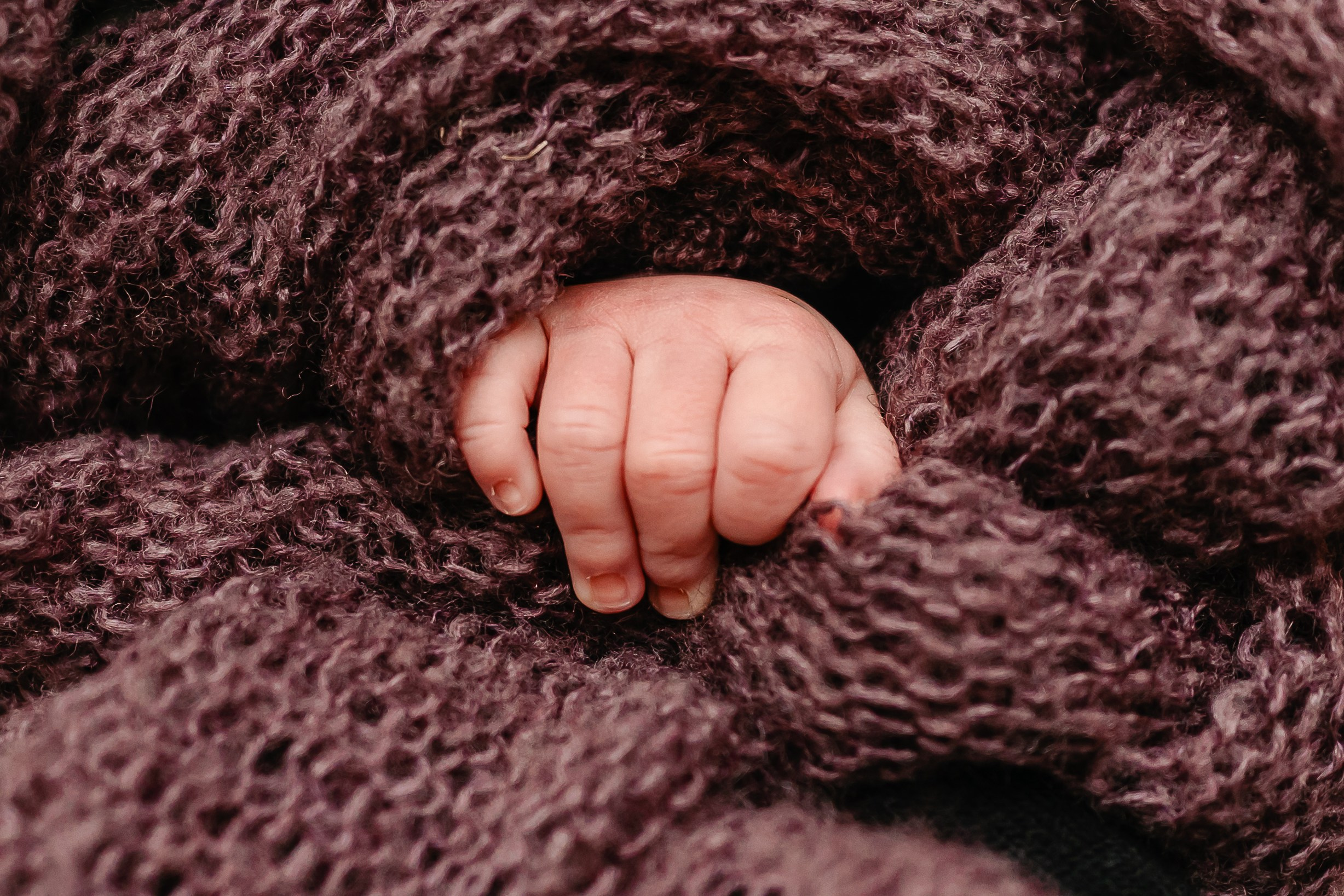 Sofia — Newborn. Beneduzzi Fotografias