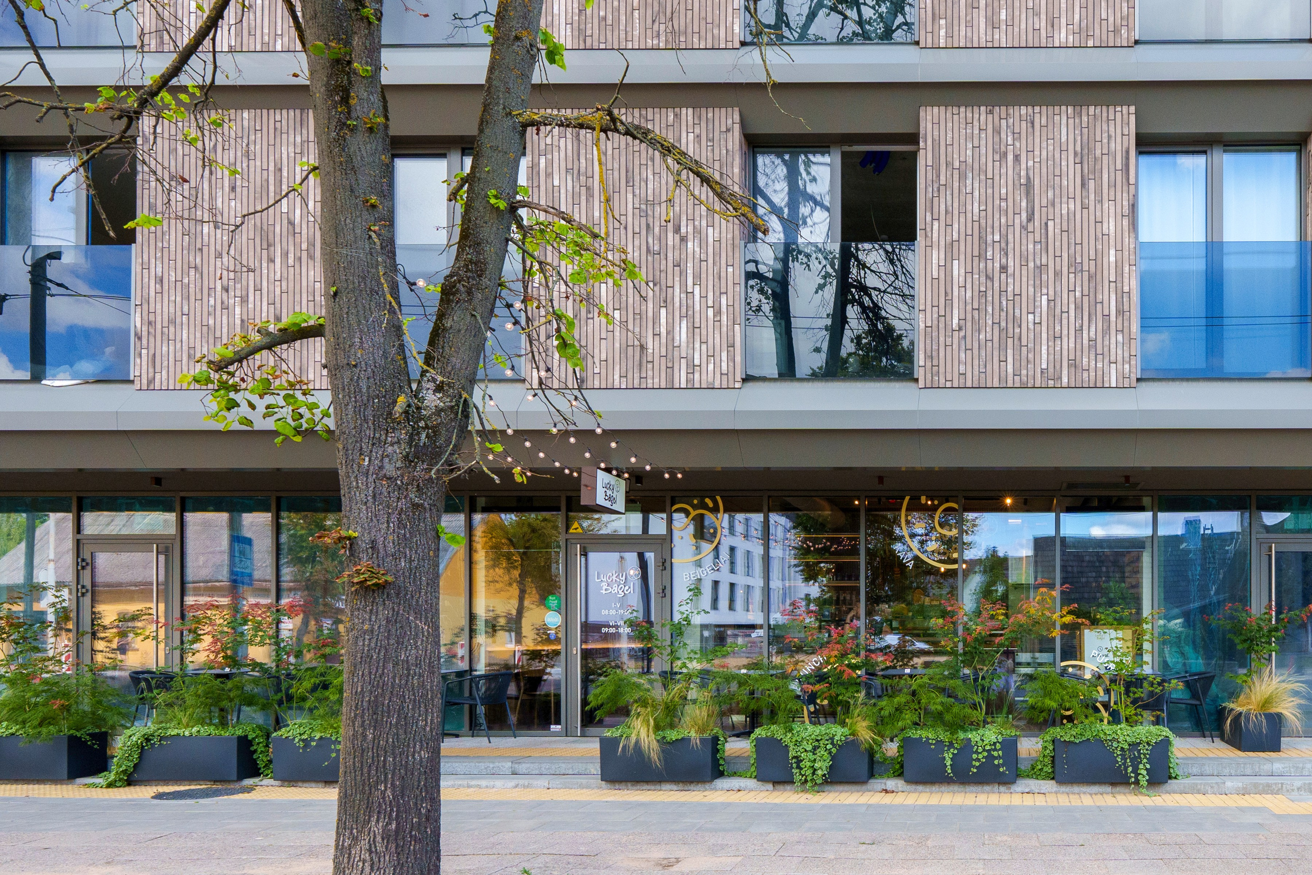 Kalvarijų g. 55. Elina Sapiega fotografė Vilniuje