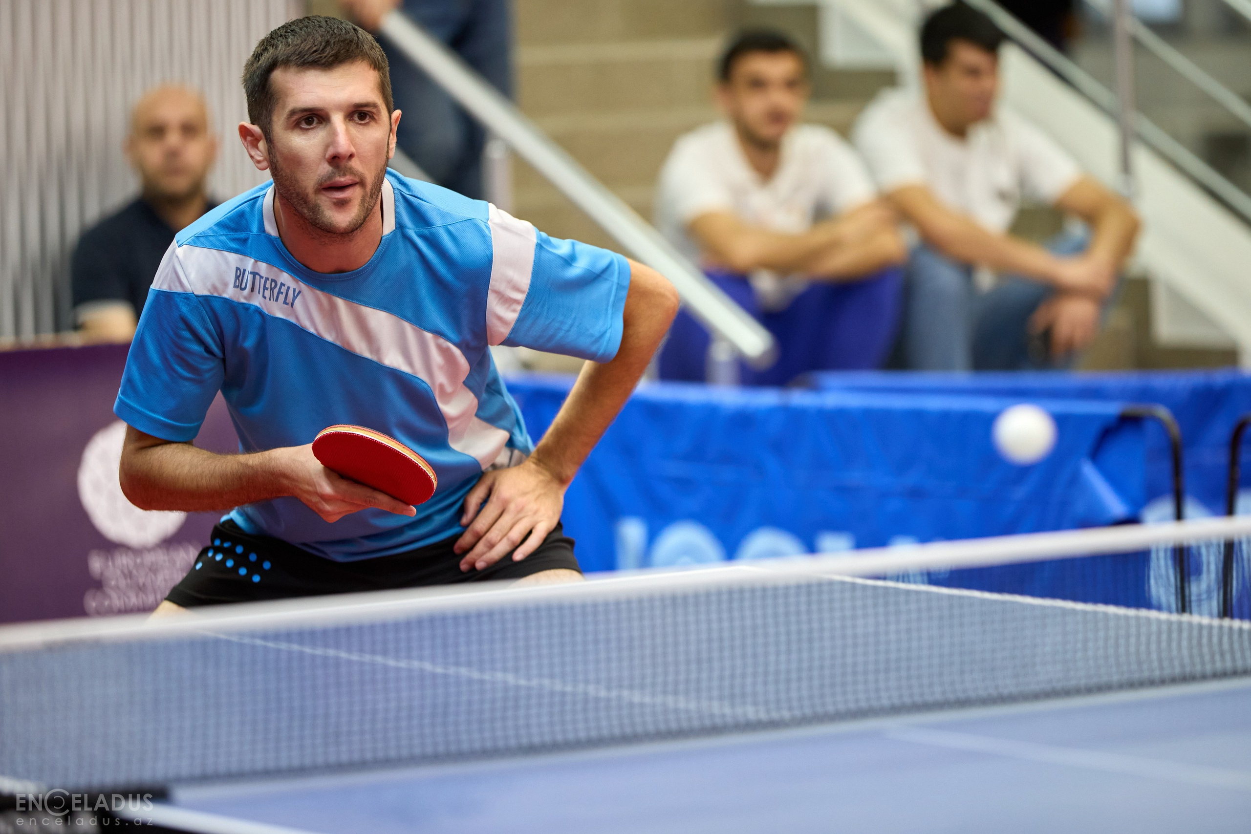 Table Tennis. Mix Tournament. Фотограф в Баку Kamran Enceladus