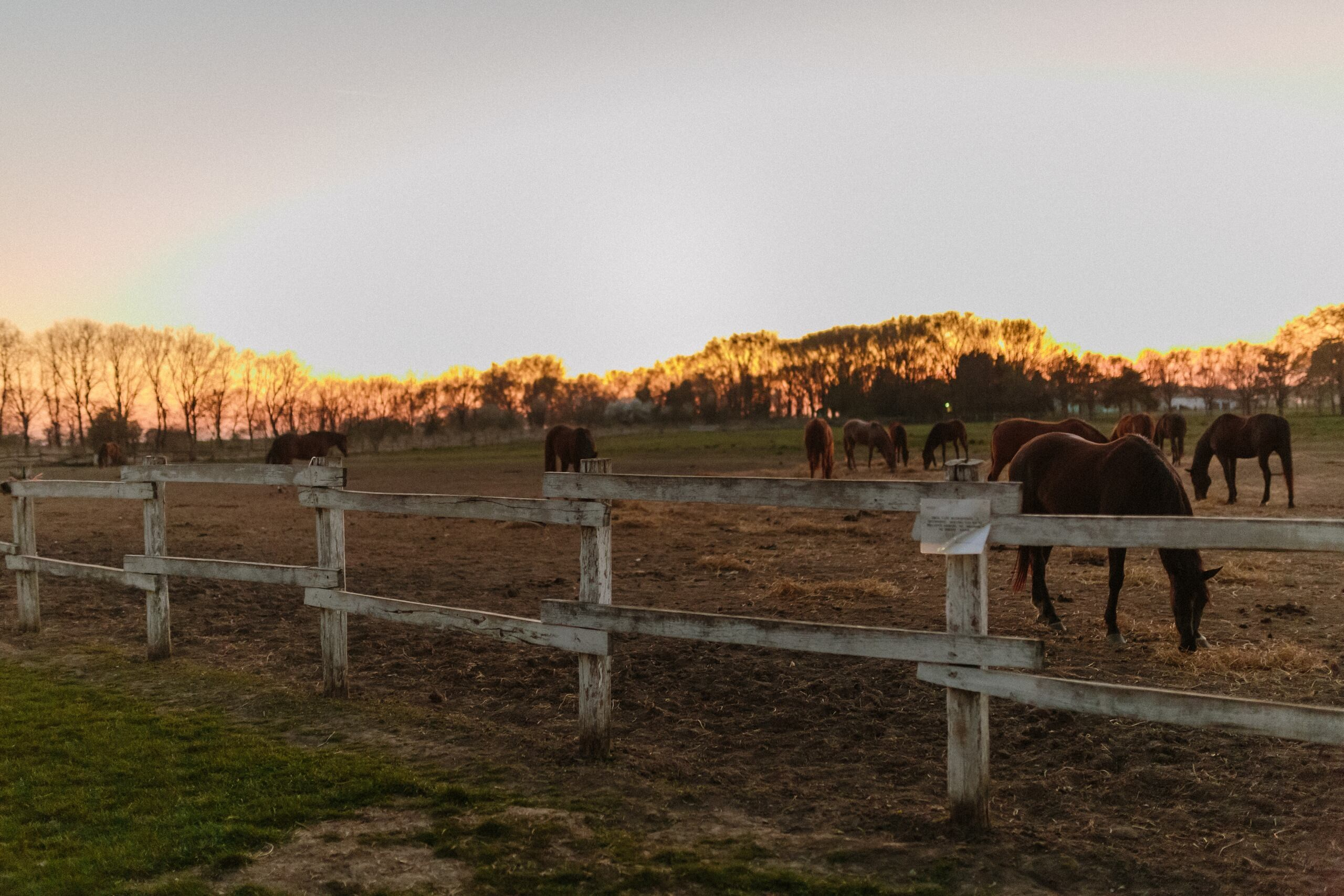 Teodora & Nikola. Wedding photographer based in Novi Sad, Marko Milivojevic