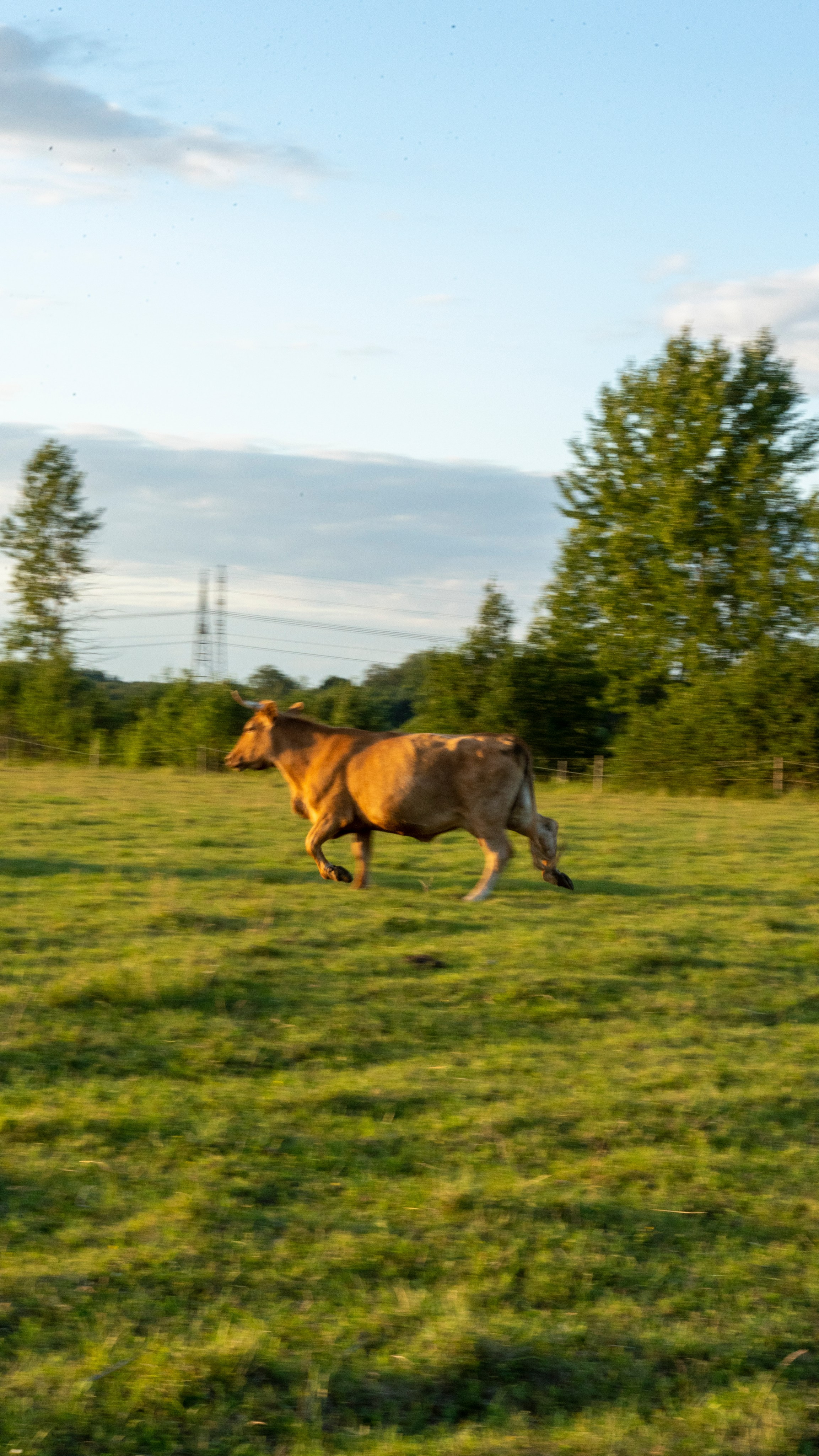 Whispers of Estonia. Photography | Videography | Marketing