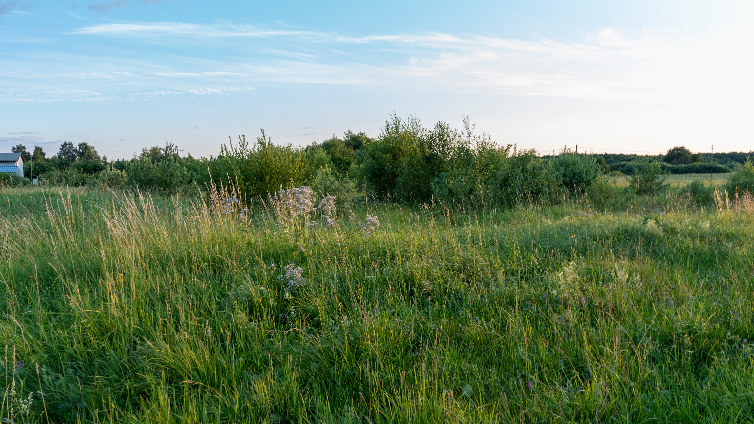 Whispers of Estonia. Photography | Videography | Marketing