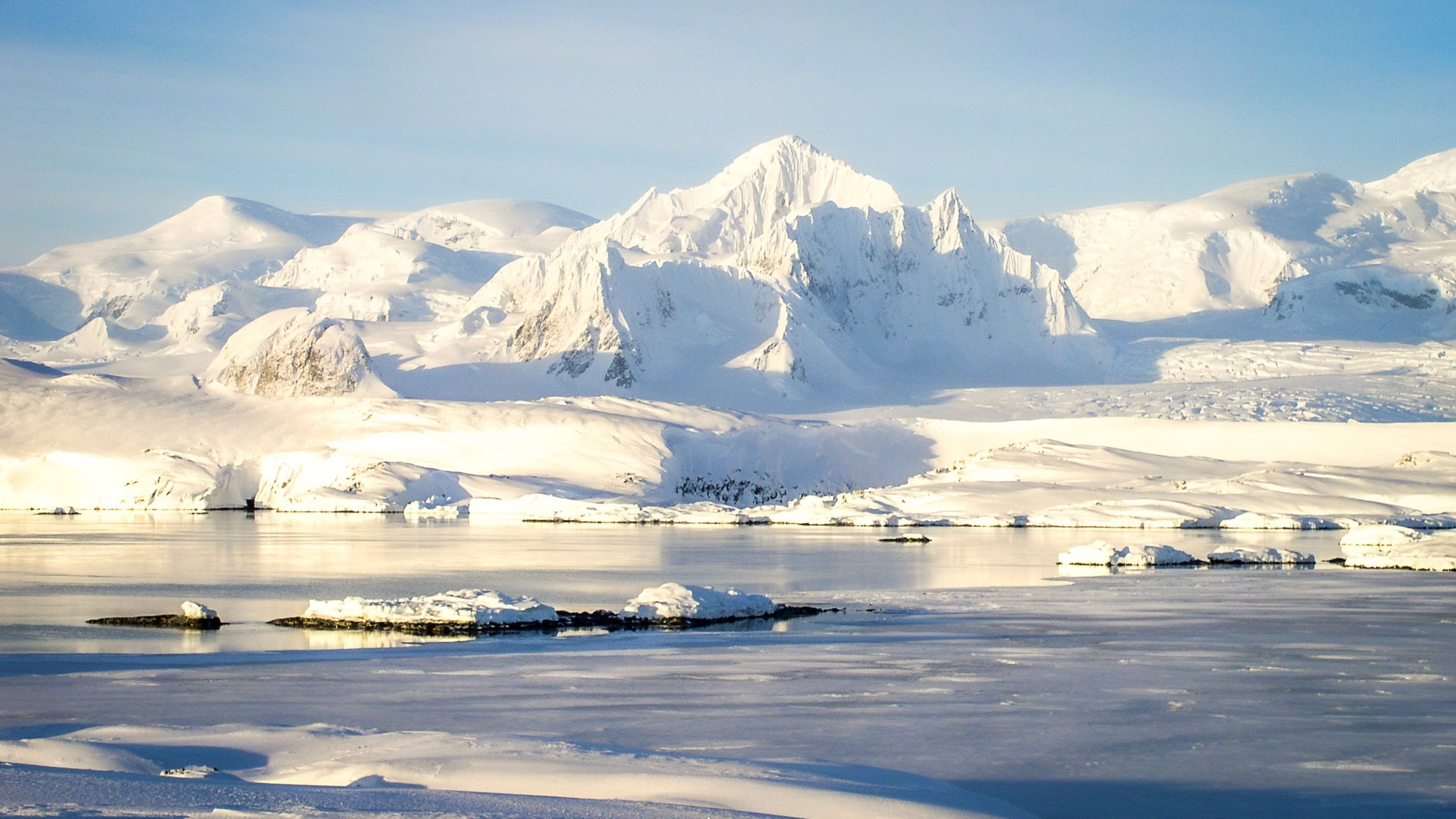 ANTARCTICA / 2004. Reportage concert portrait photography in the San Francisco Bay Area
