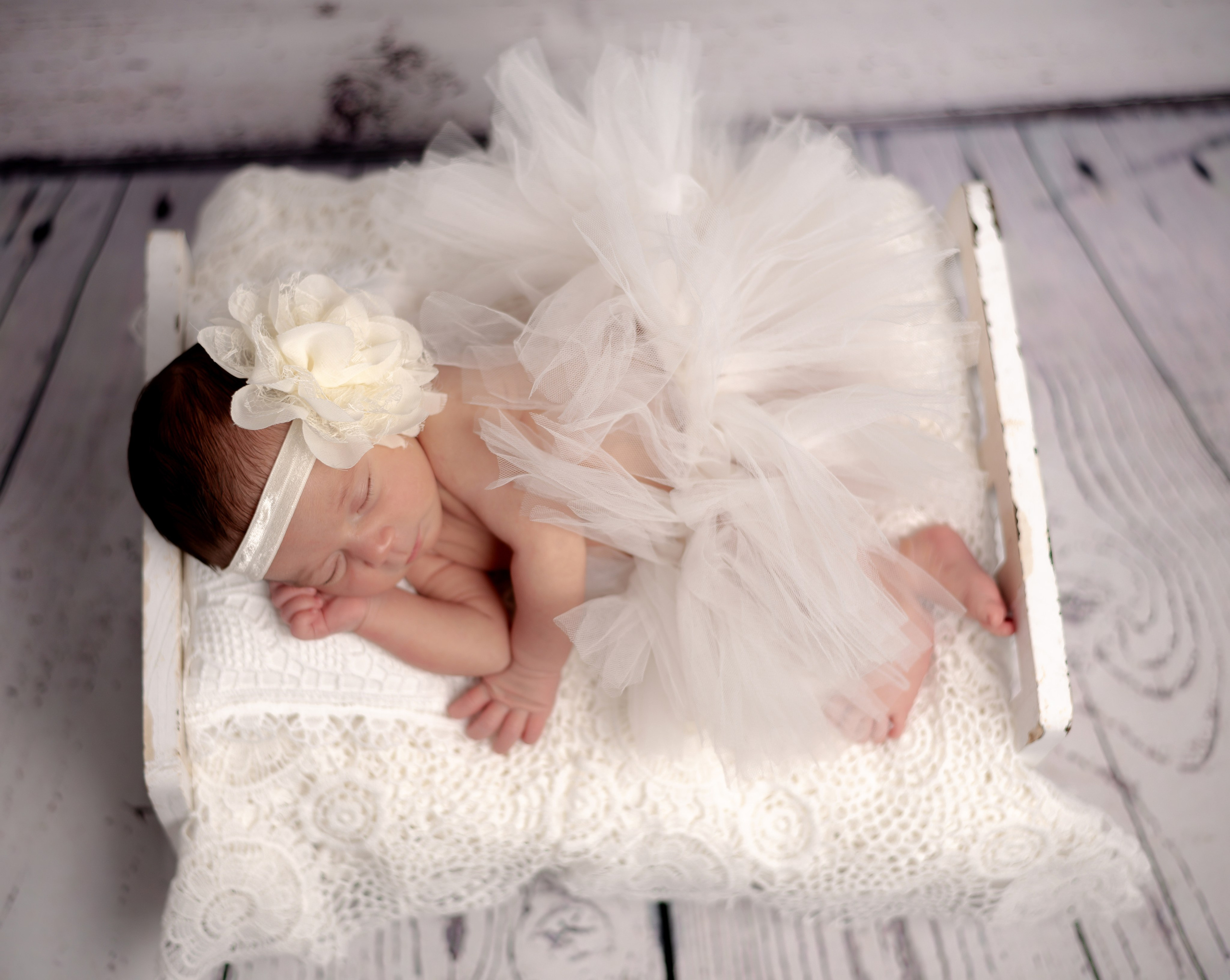 Newborn Photoshoot. Professional Photograher, Antwerpen/Belgium