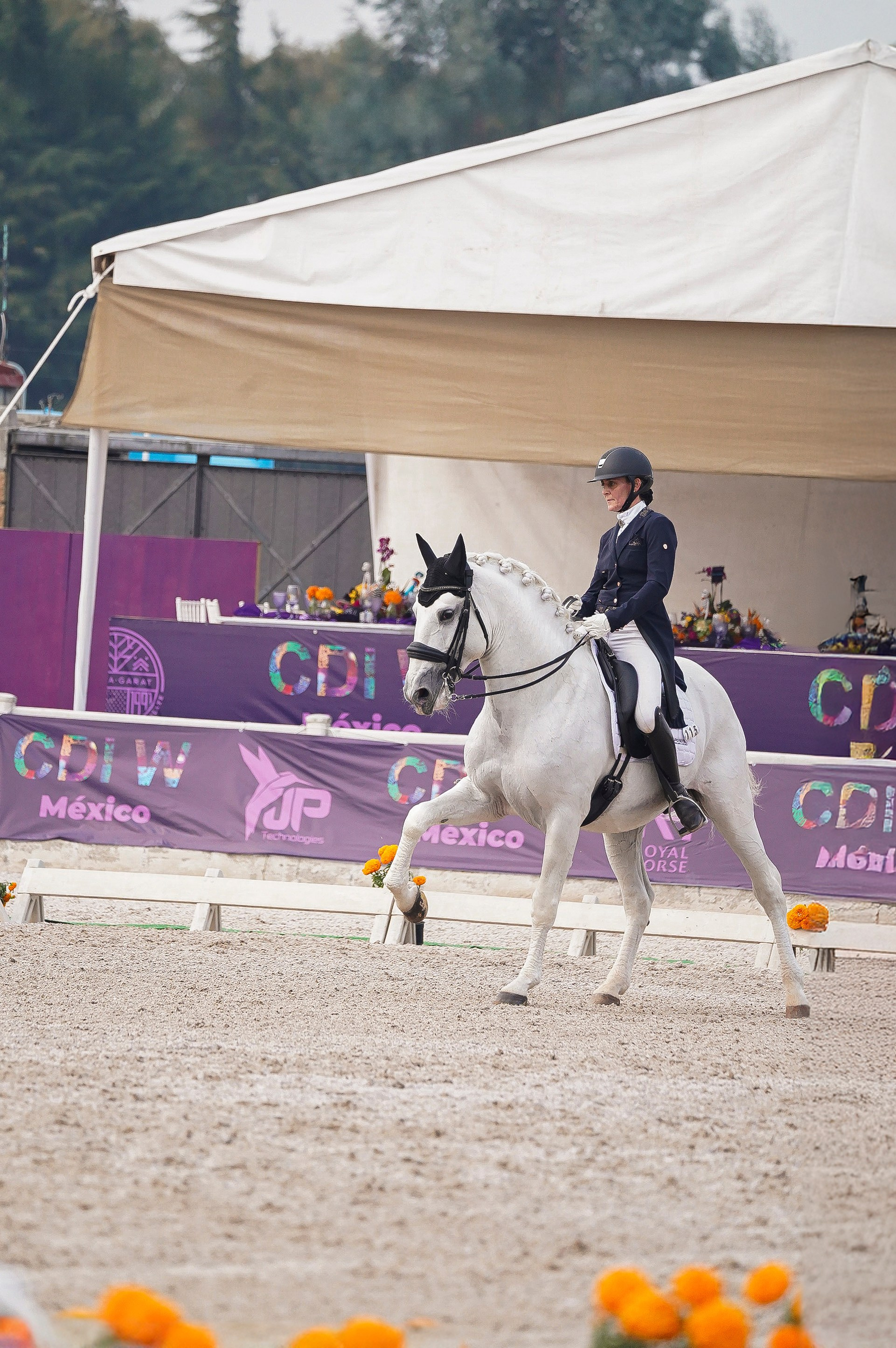 Sport events. Catrina Frolova photography