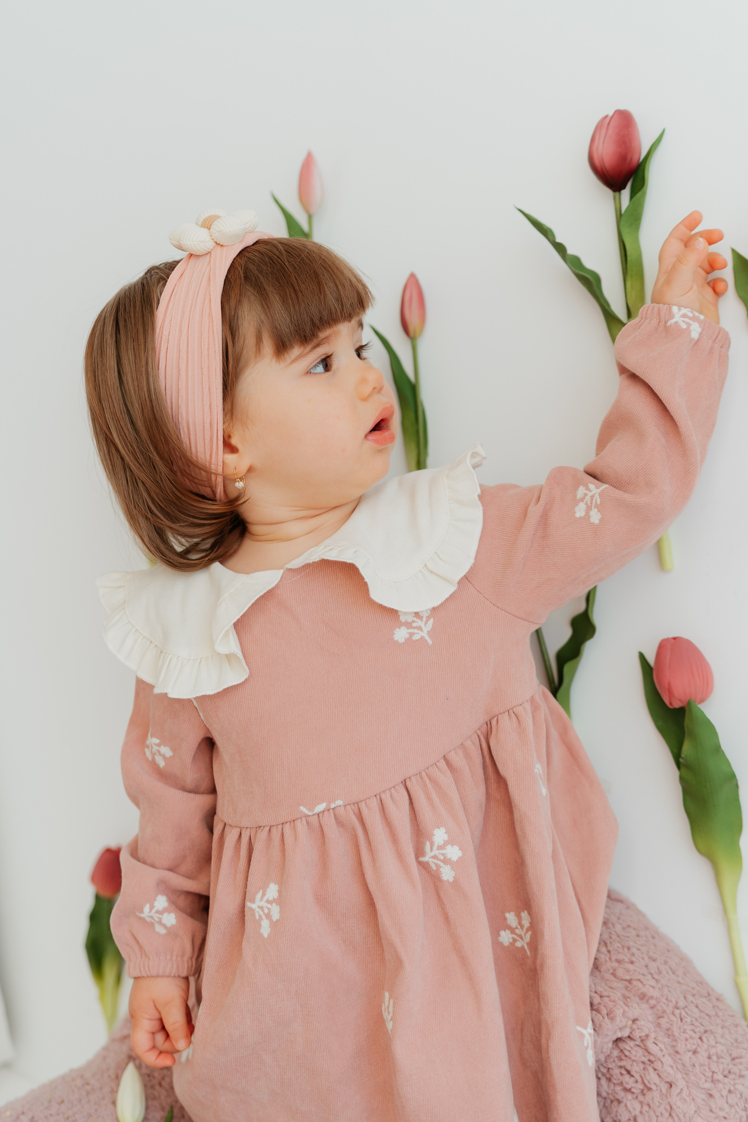 SPRING SESSION. Ars Vidi | Digital Solutions