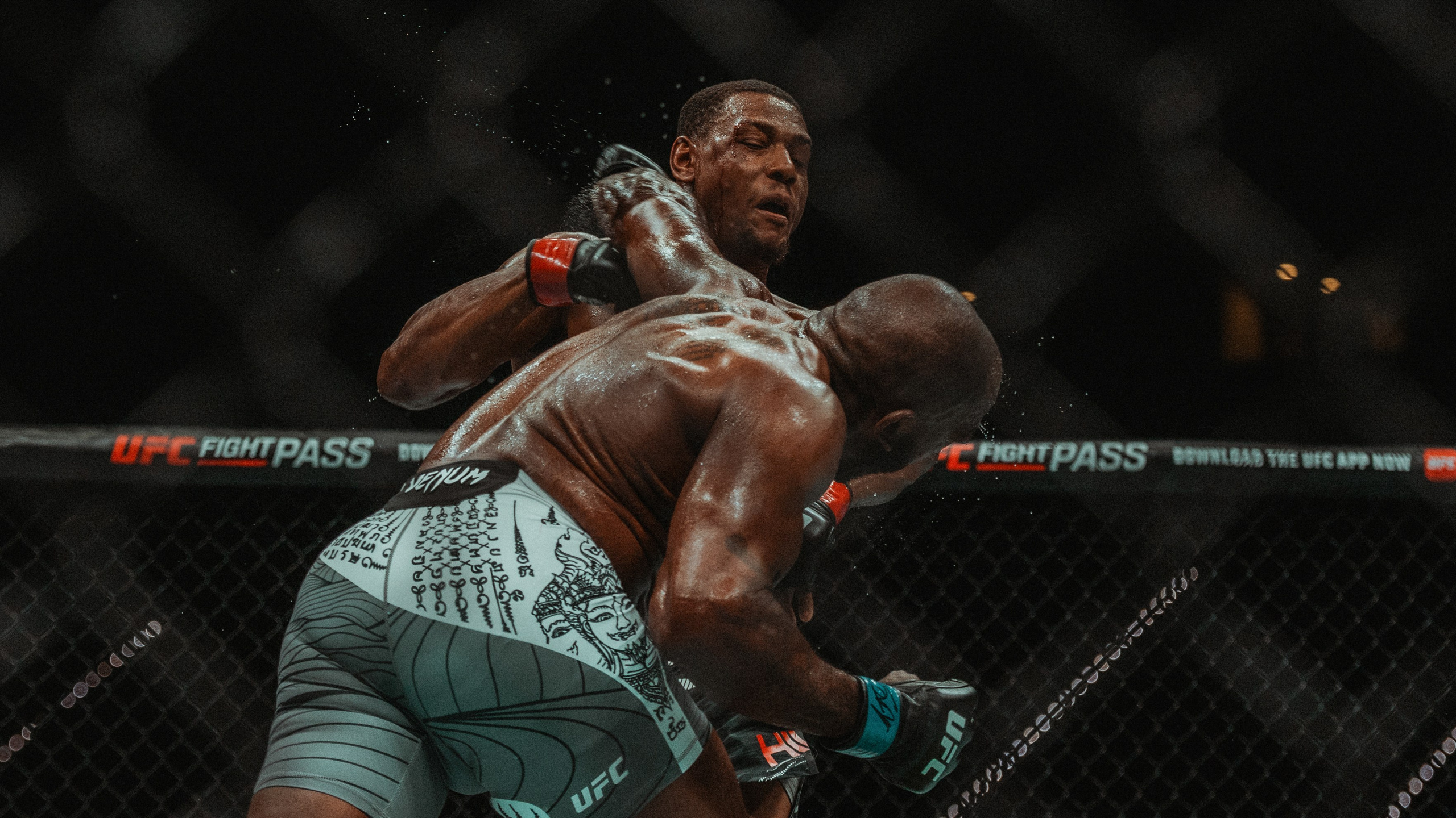 UFC. Commercial and Event photographer Eltaj