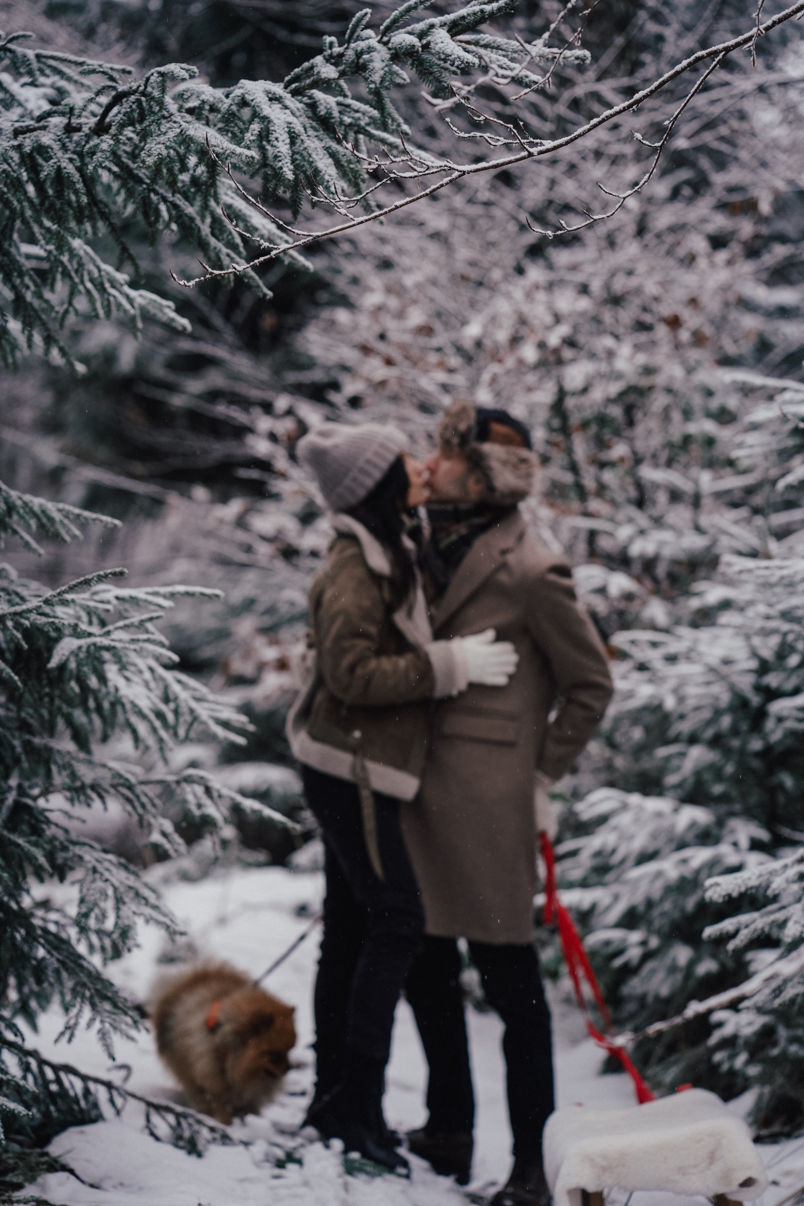 Katja, Egor und fluffiger Filyusha. Familien, Lifestyle und Portrait Fotografin in Trier, Luxembourg
