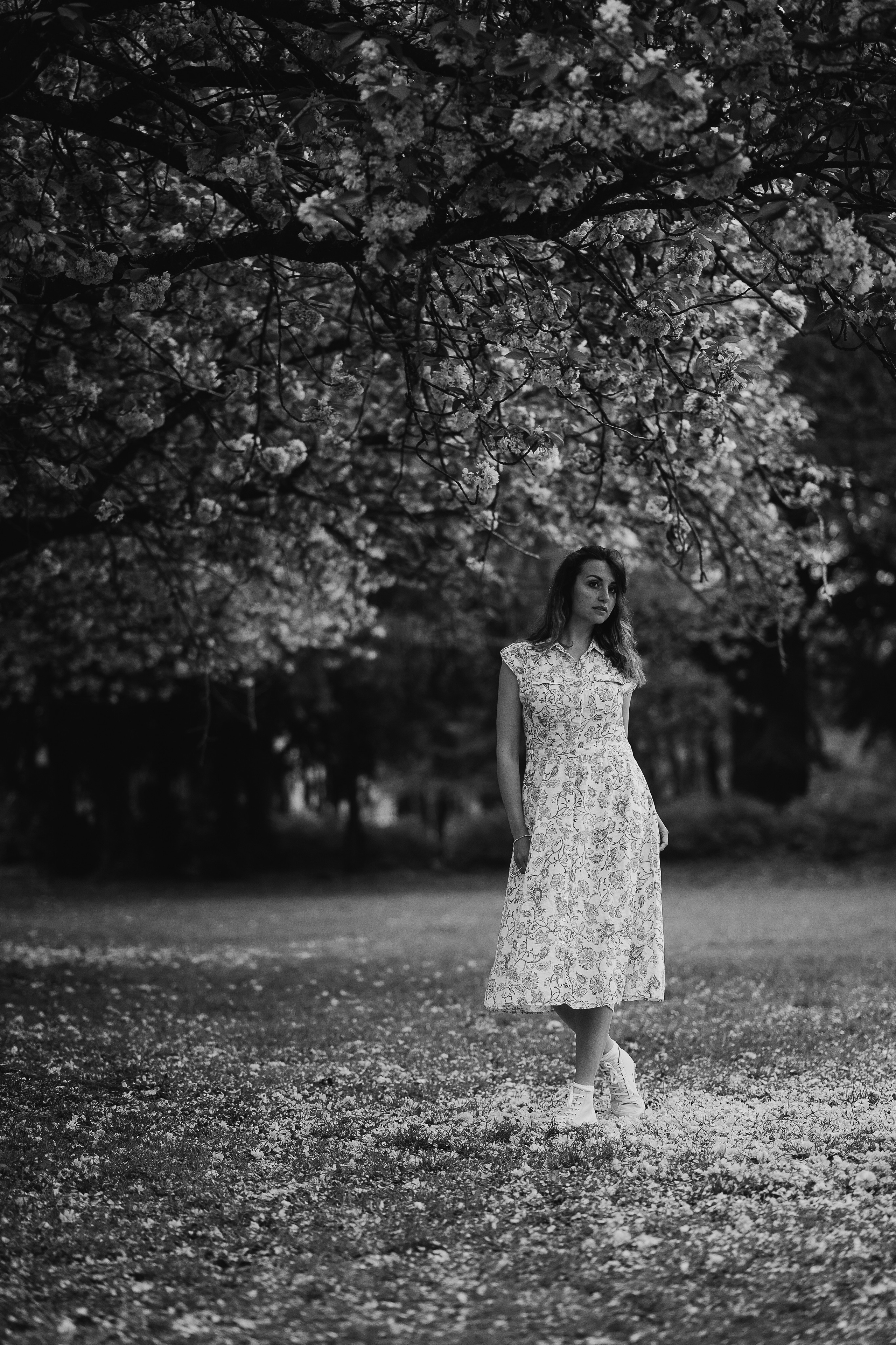 Ольга в цветущей сакуре. Семейный, детский и женский фотограф в Германии, Трире