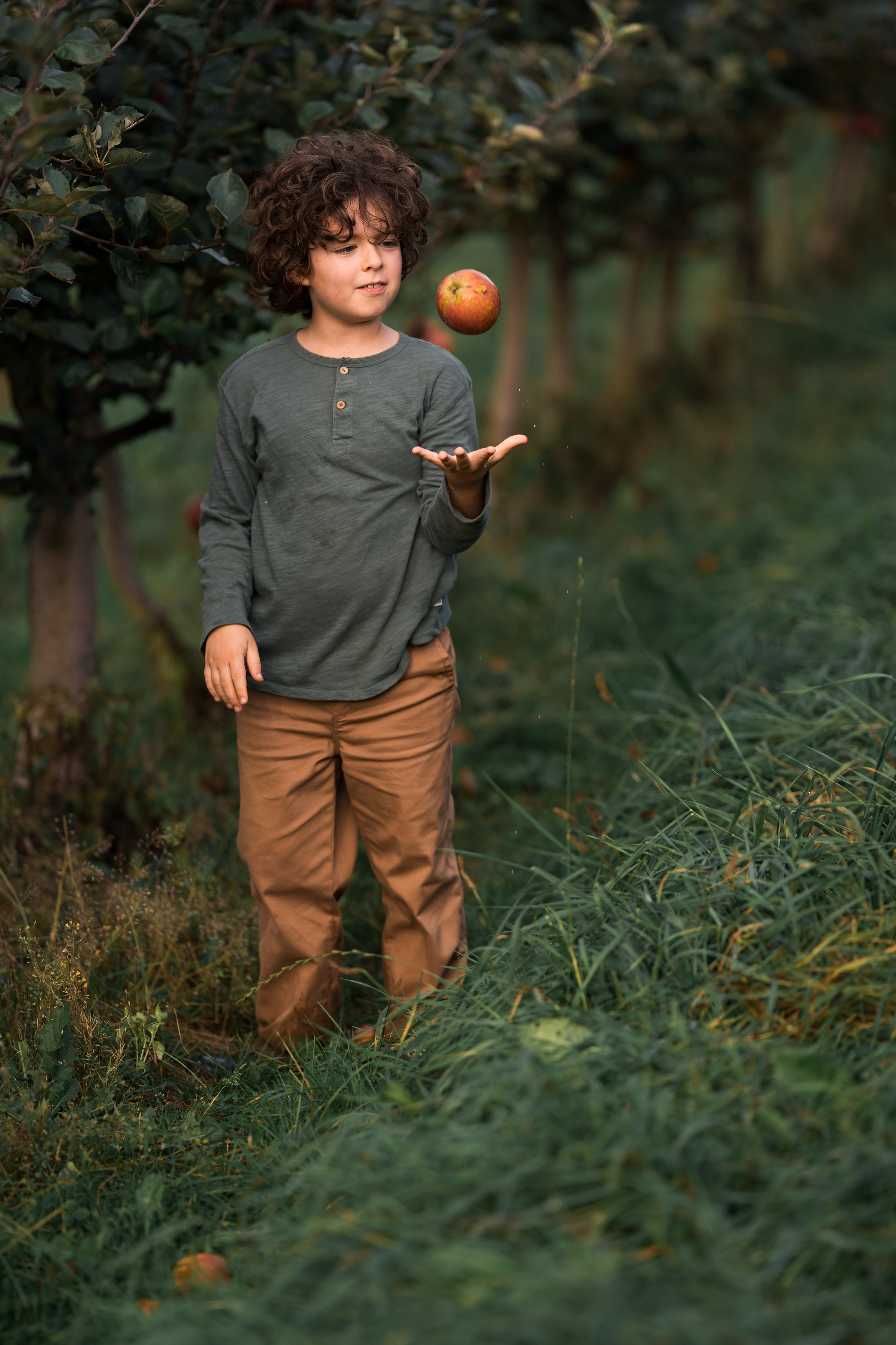 Apfel Garten. Familien, Lifestyle und Portrait Fotografin in Trier, Luxembourg