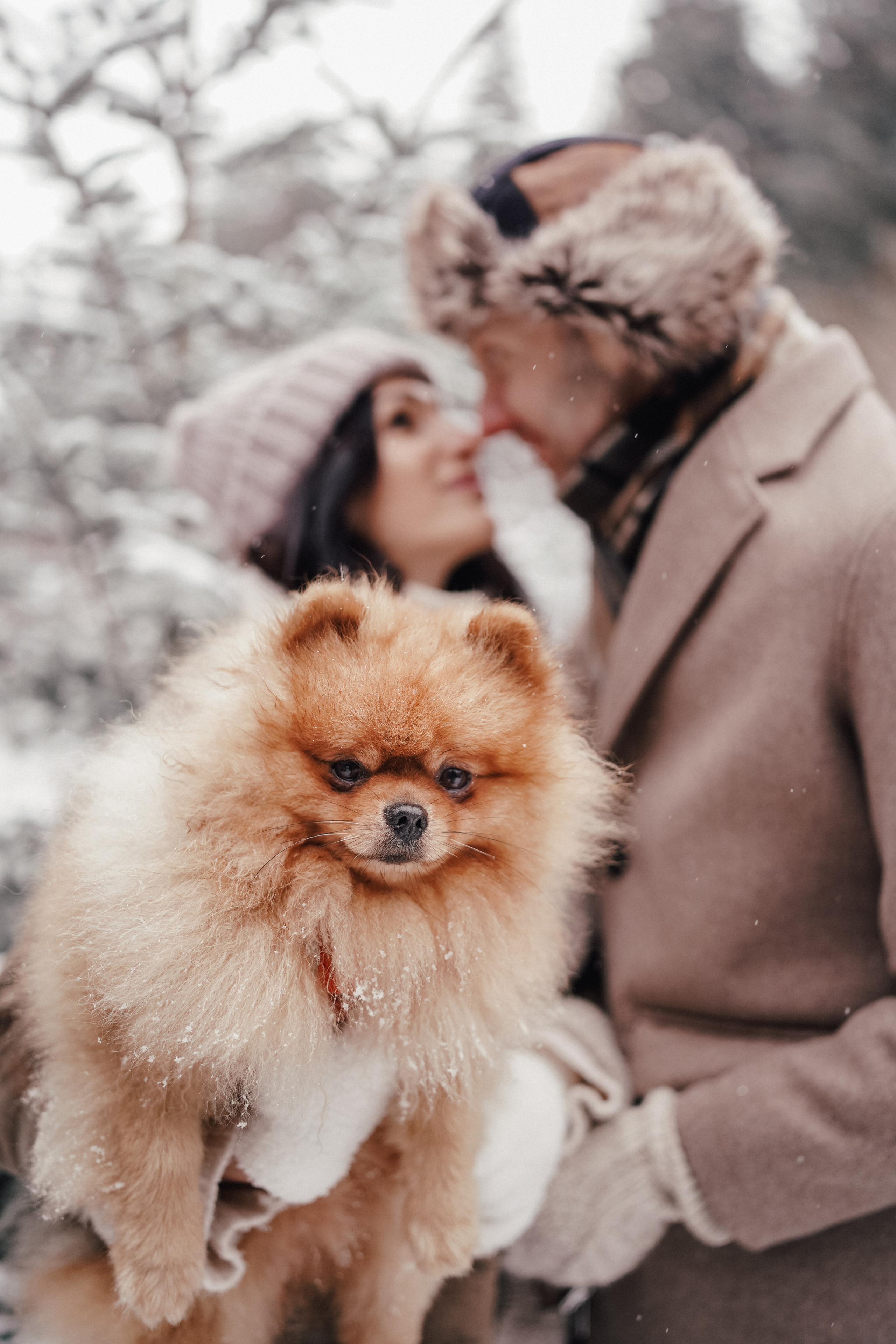 Katja, Egor und fluffiger Filyusha. Familien, Lifestyle und Portrait Fotografin in Trier, Luxembourg