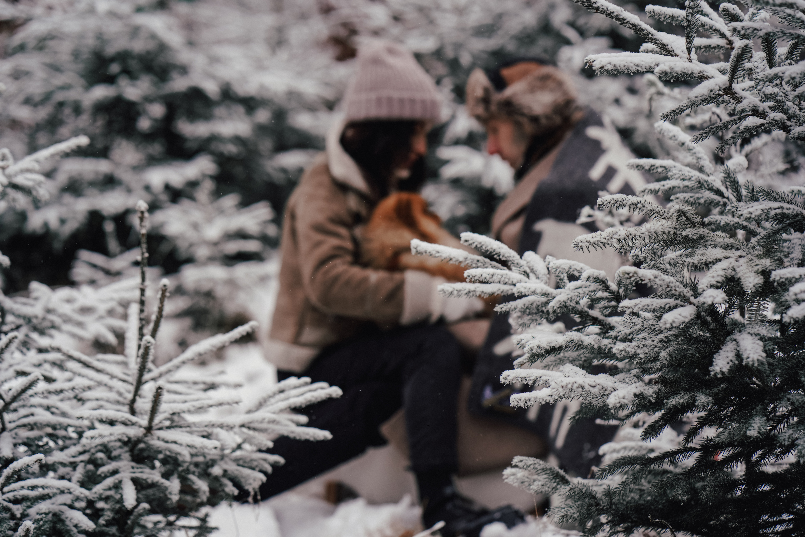 Katja, Egor und fluffiger Filyusha. Familien, Lifestyle und Portrait Fotografin in Trier, Luxembourg