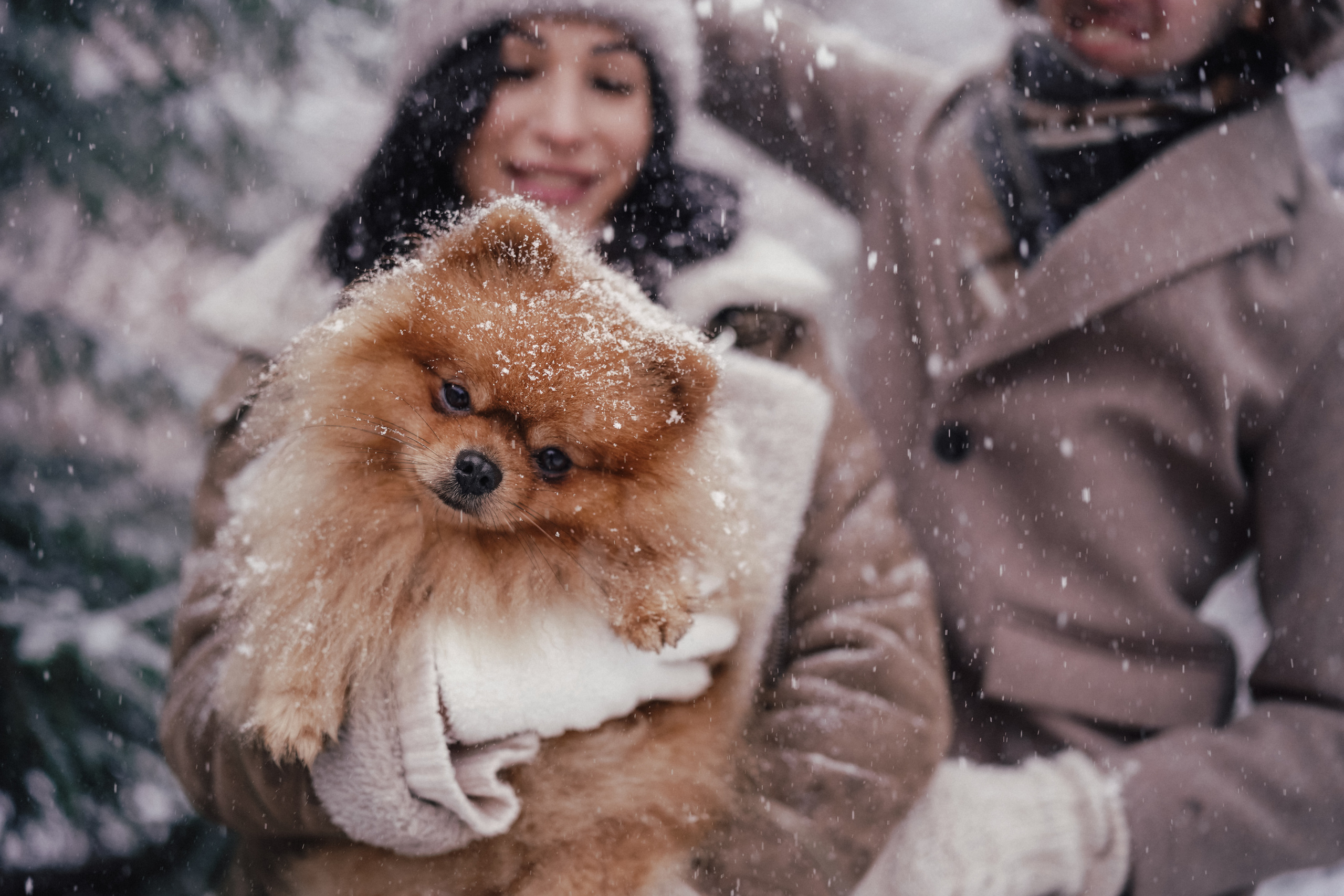 Katja, Egor und fluffiger Filyusha. Familien, Lifestyle und Portrait Fotografin in Trier, Luxembourg