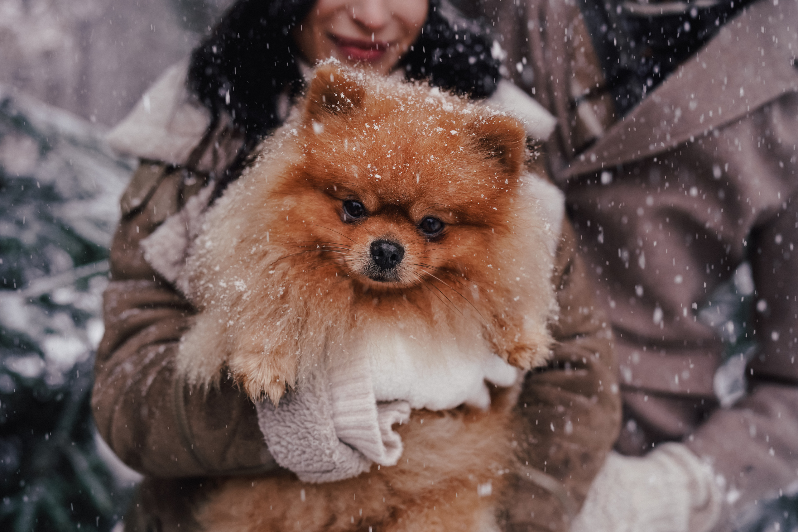 Katja, Egor und fluffiger Filyusha. Familien, Lifestyle und Portrait Fotografin in Trier, Luxembourg