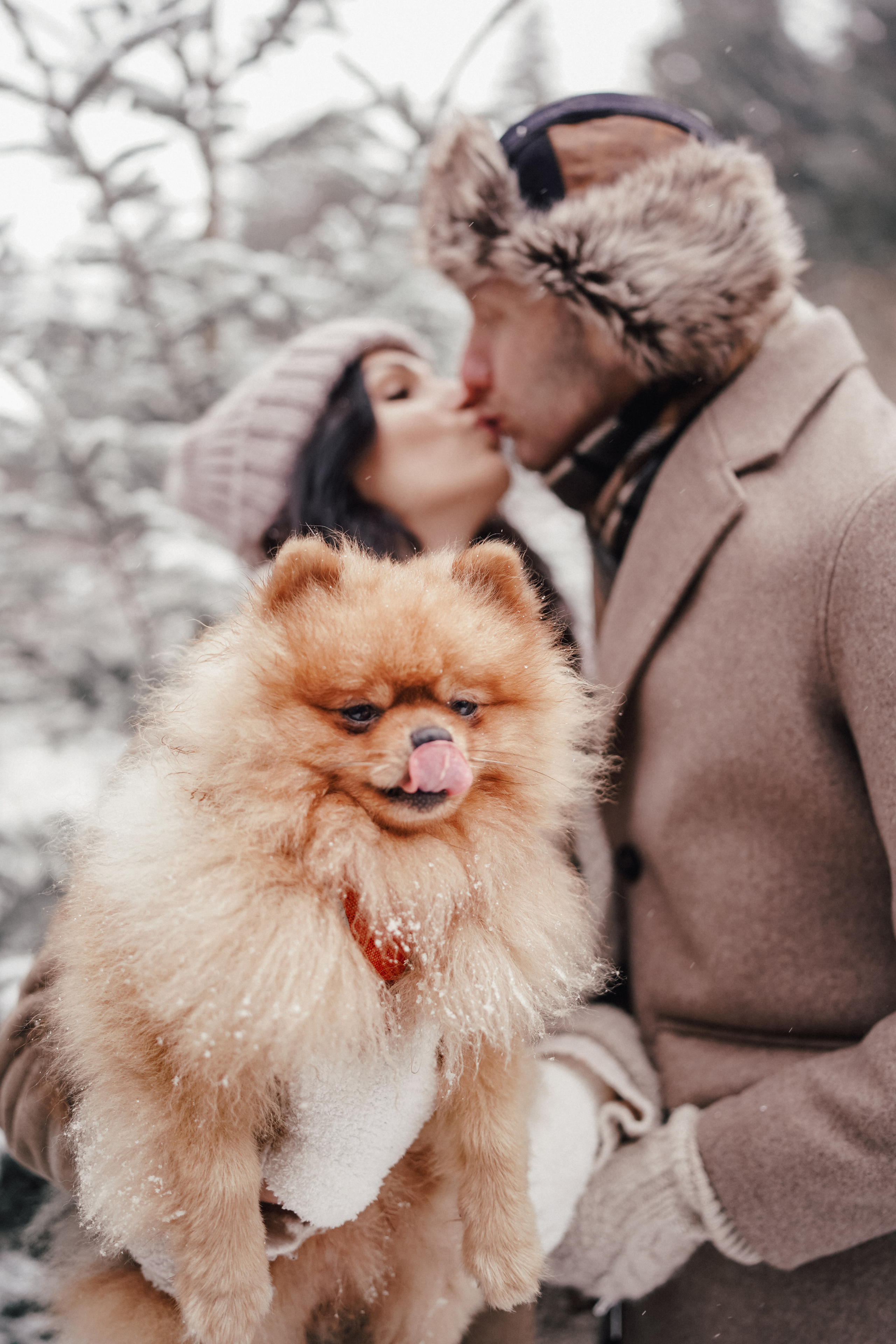 Customer’s feedback. Family, Lifestyle and Portrait photograher in Trier, Germany