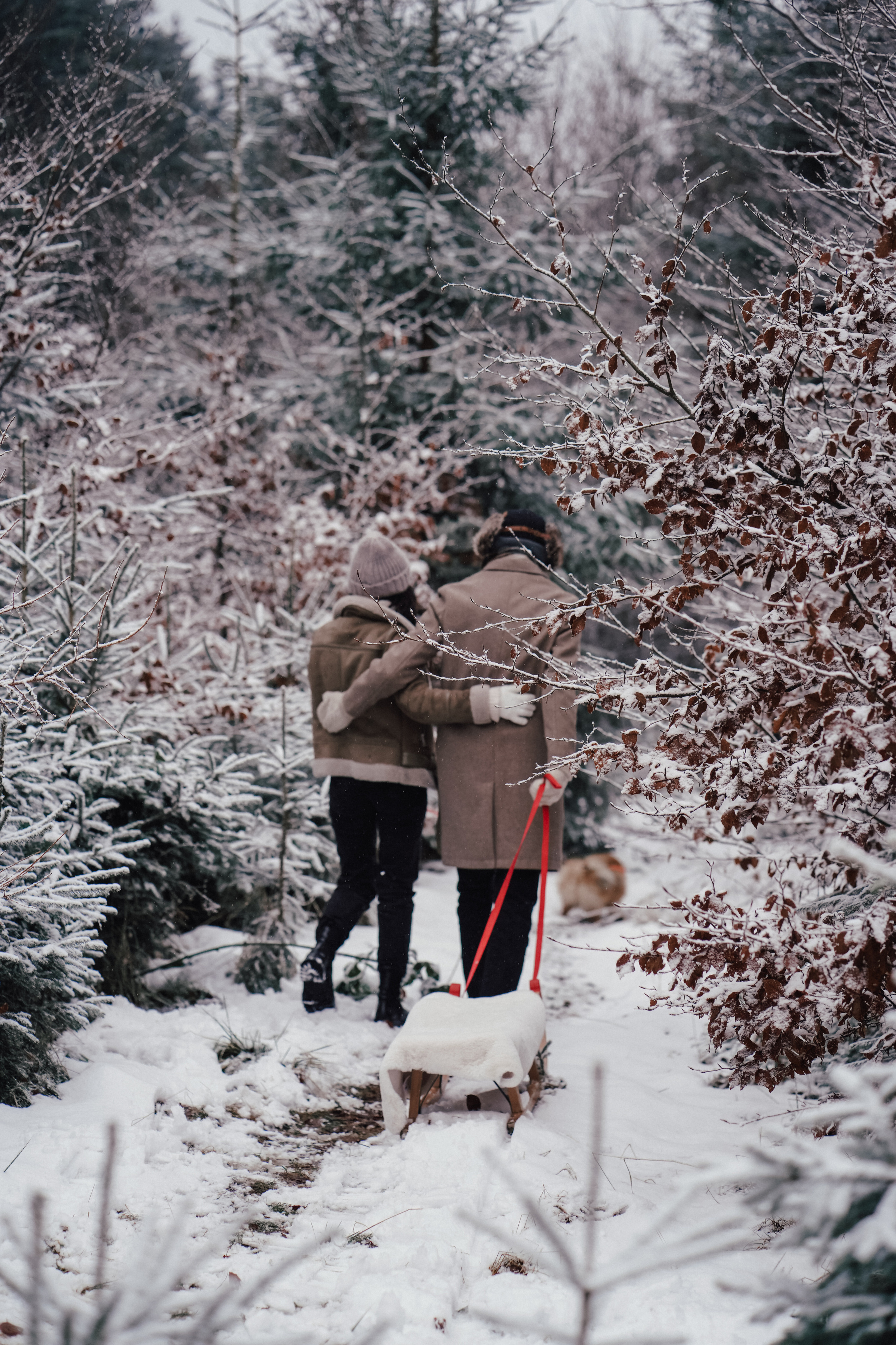Katja, Egor und fluffiger Filyusha. Familien, Lifestyle und Portrait Fotografin in Trier, Luxembourg