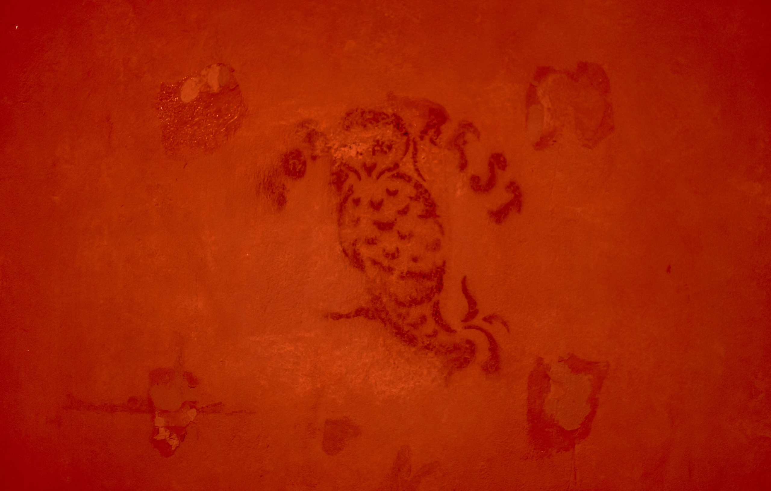 Georgia, Batumi. Art Photographer