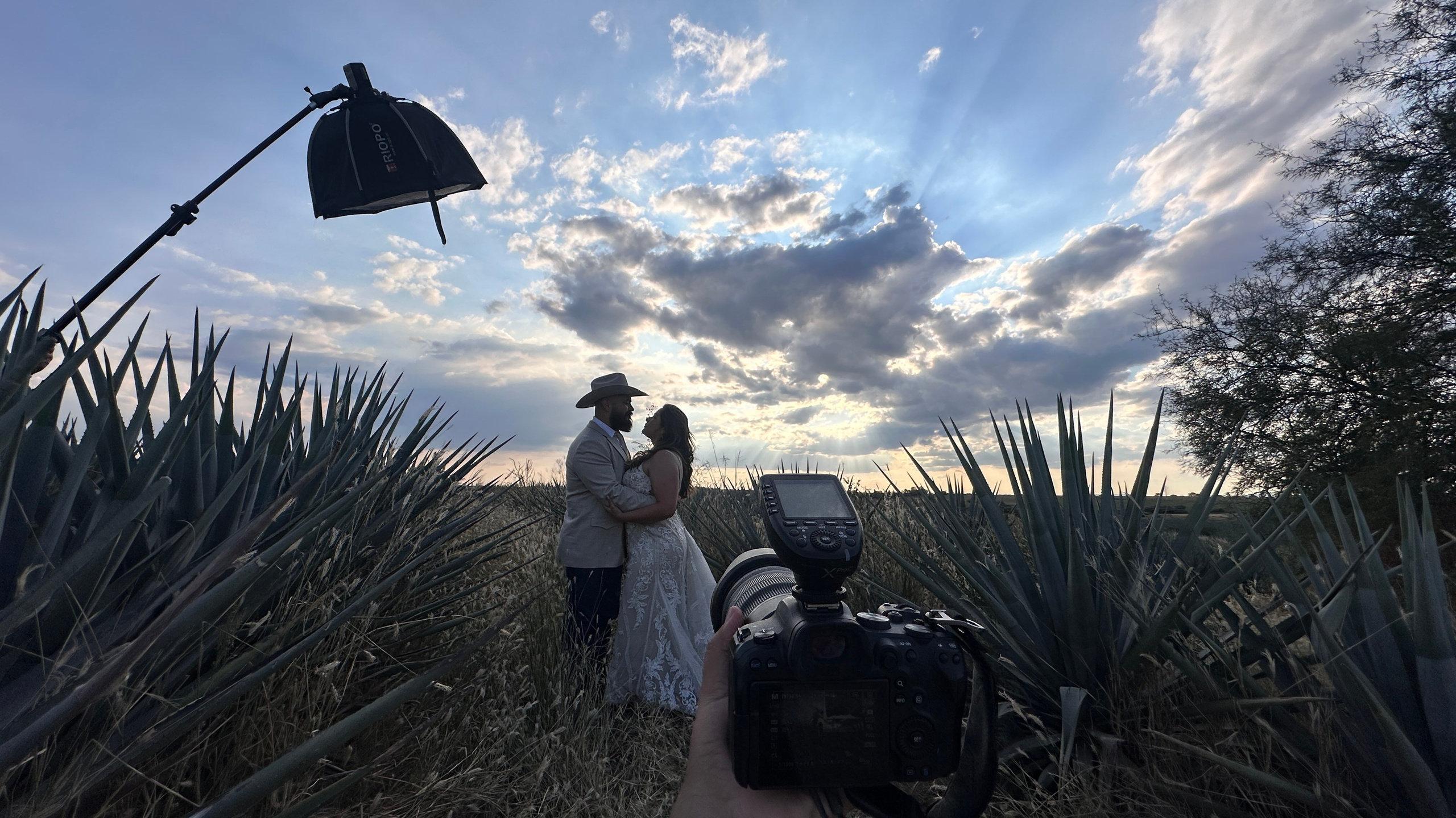 Aguascalientes / Jalisco Trash The Dress Viviana y Jesse. Estudio de fotografia en Tijuana
