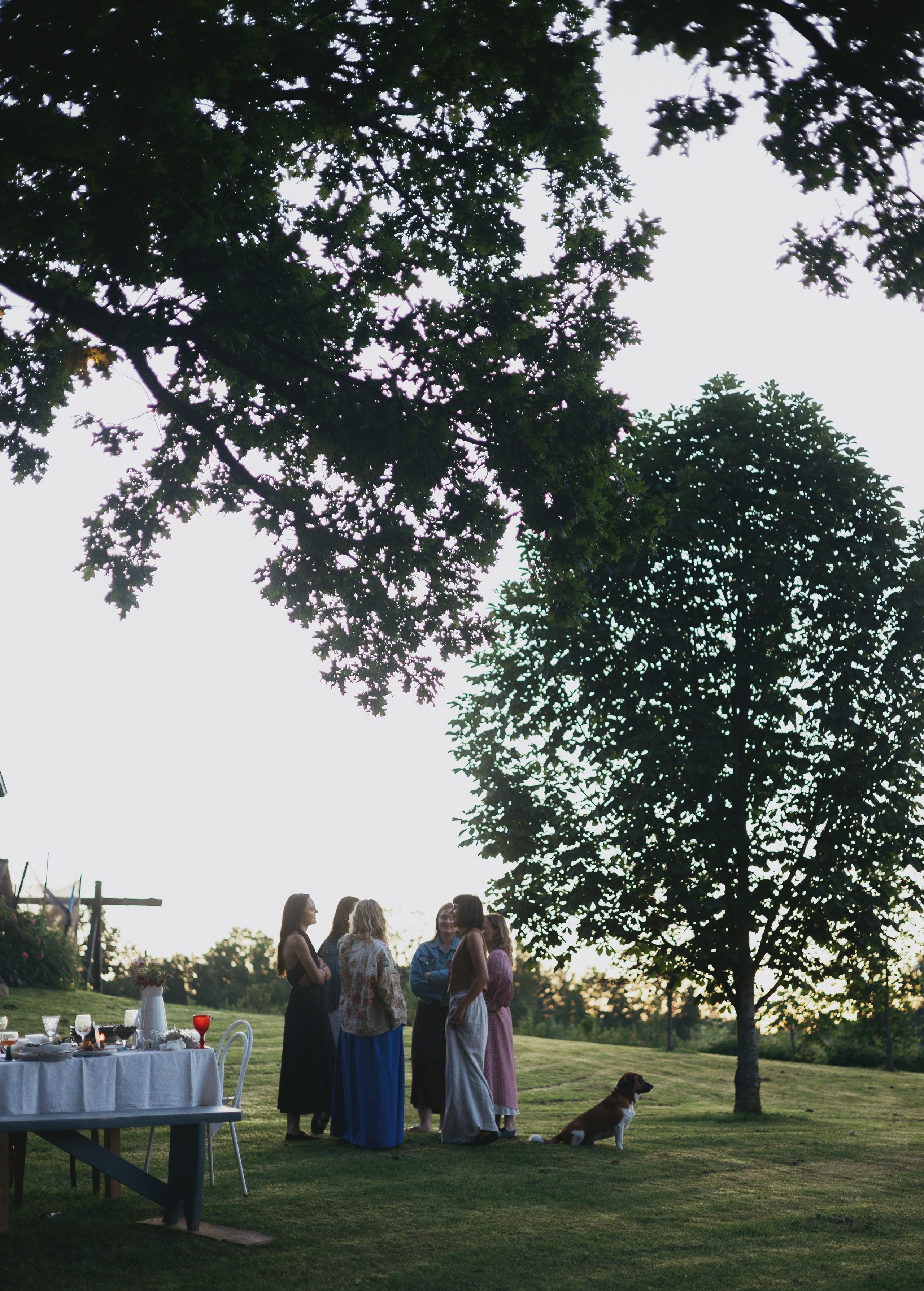 Vasara sode. Портретный фотограф Александра Самозванова