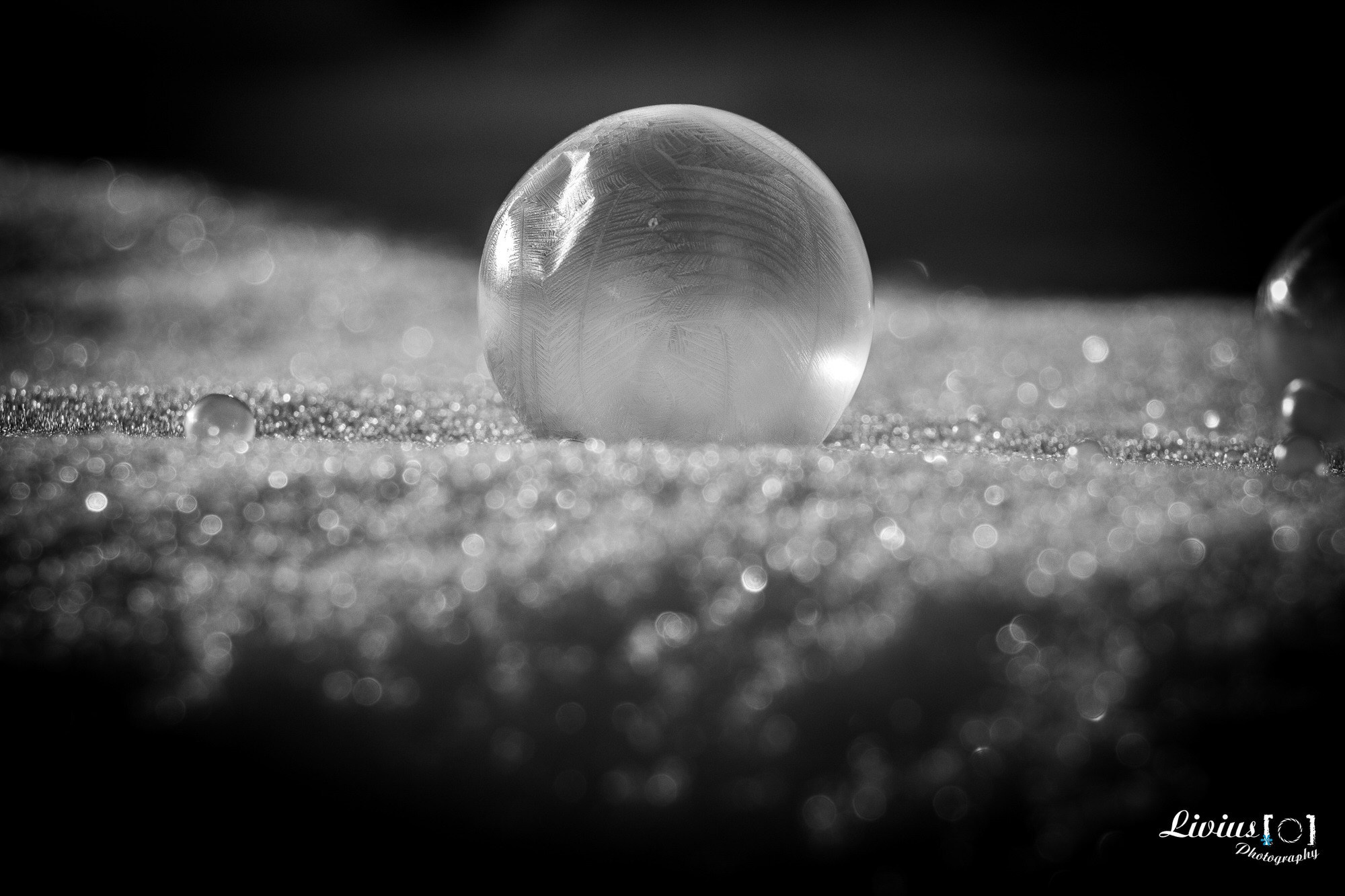 Hobby Bilder. FOTO KREATIV