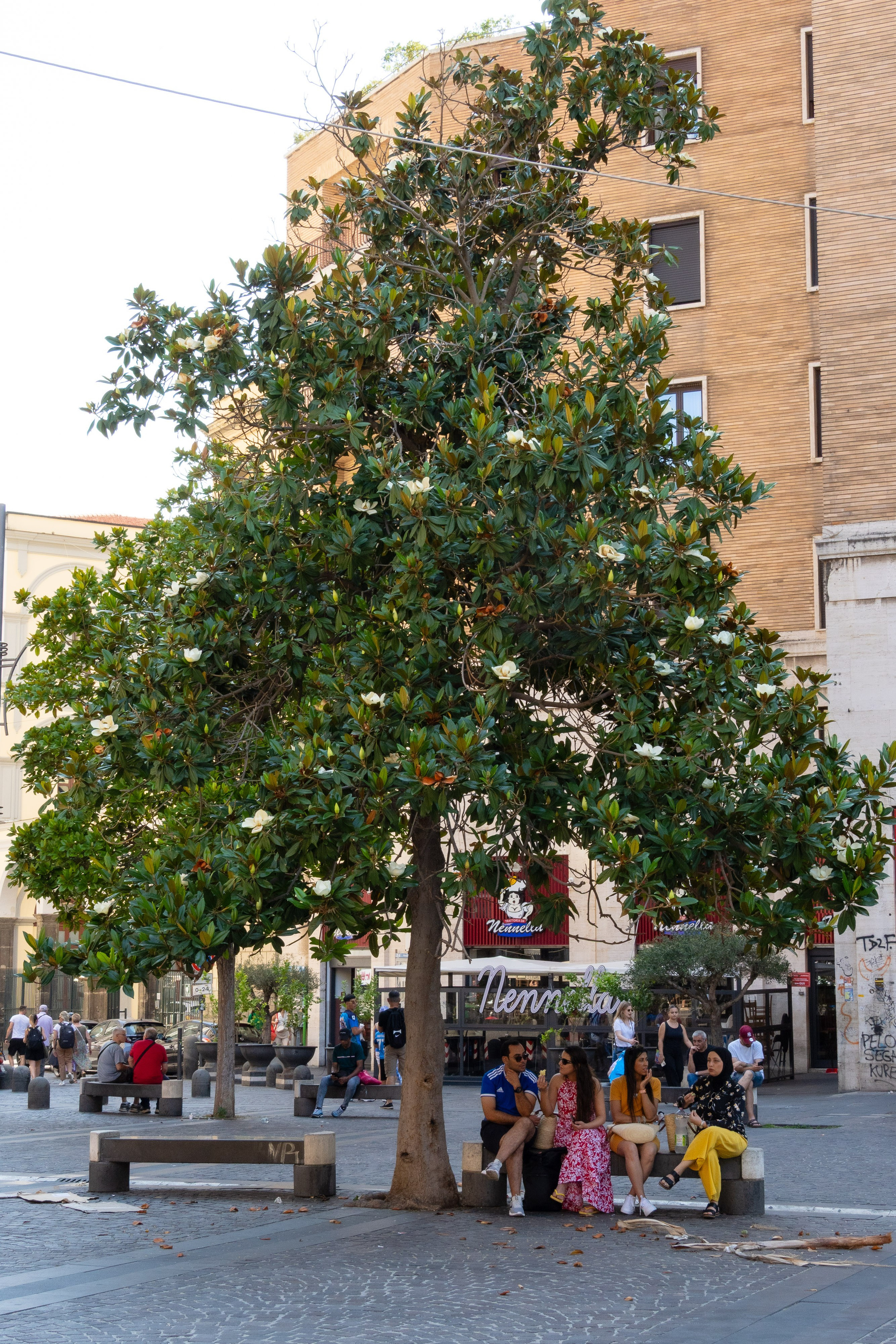 Napoli 2025. Fotografiideplacere.net